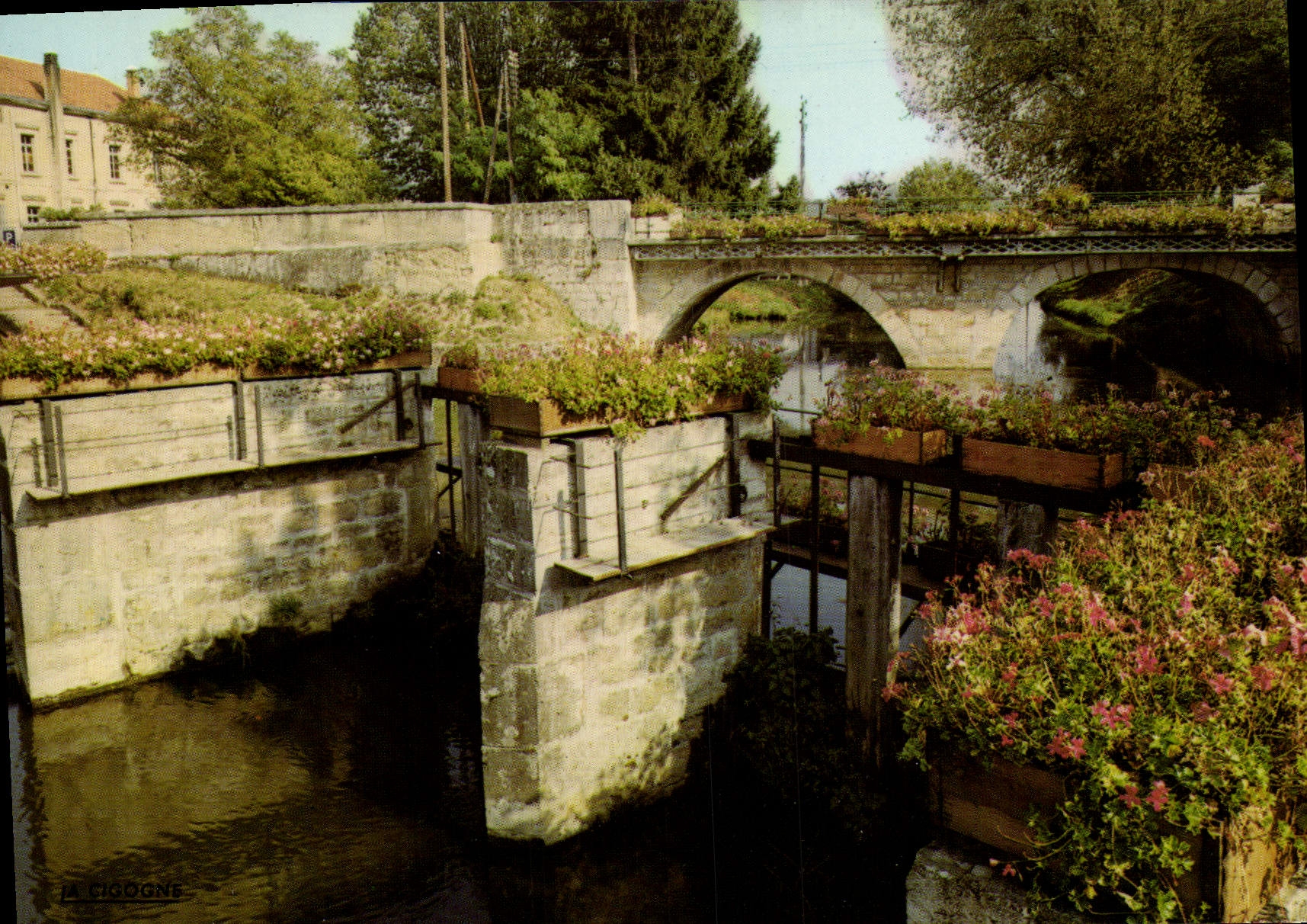 CPA Chatillon sur Chalaronne les rives fleuries de la Chalaronne