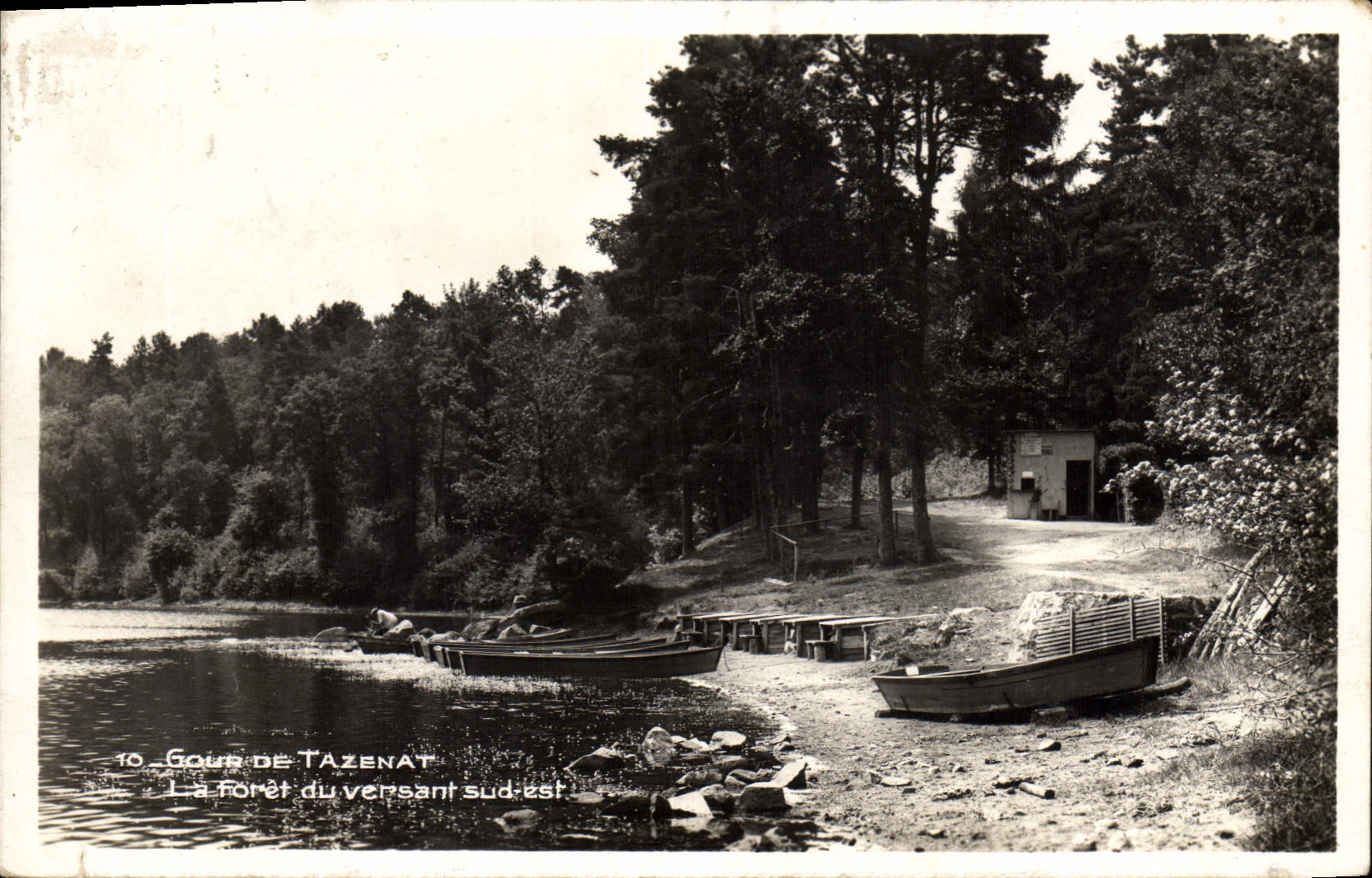 CPA Gour de Tazenat La foret du versant sud est