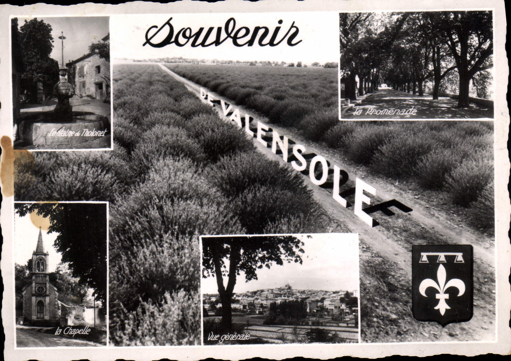 CPA La Route de la Lavande Vallensole B A Souvenir
