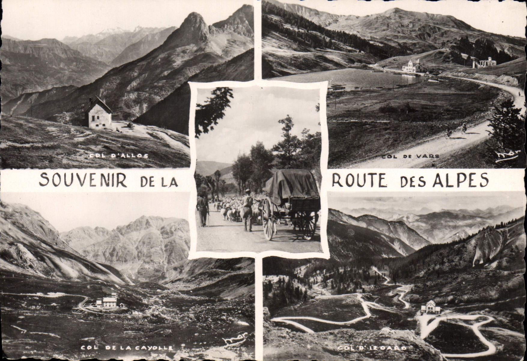 CPA Souvenir de La Route des Alpes 