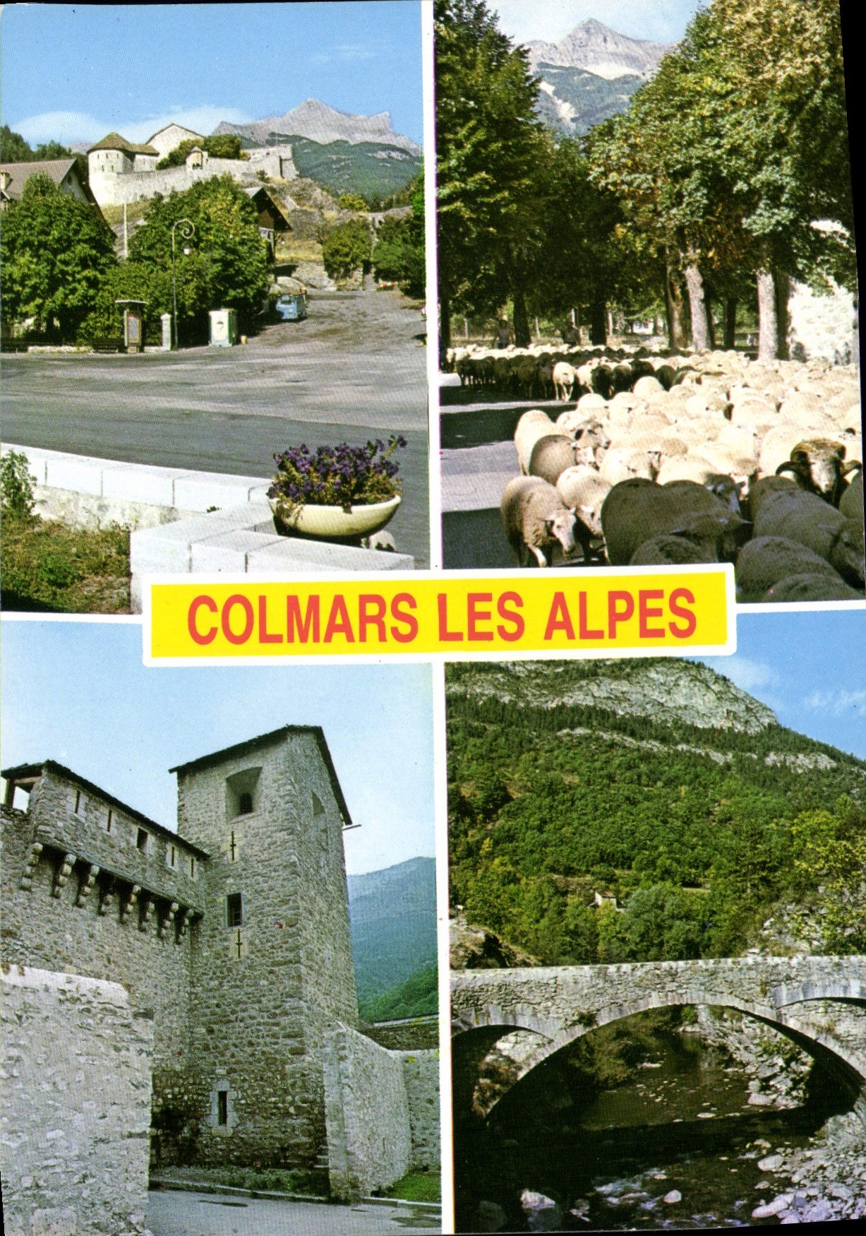 CPA Alpes de Haute Provence Haute Vallee du Verdon Souvenir de Colmars les Alpes