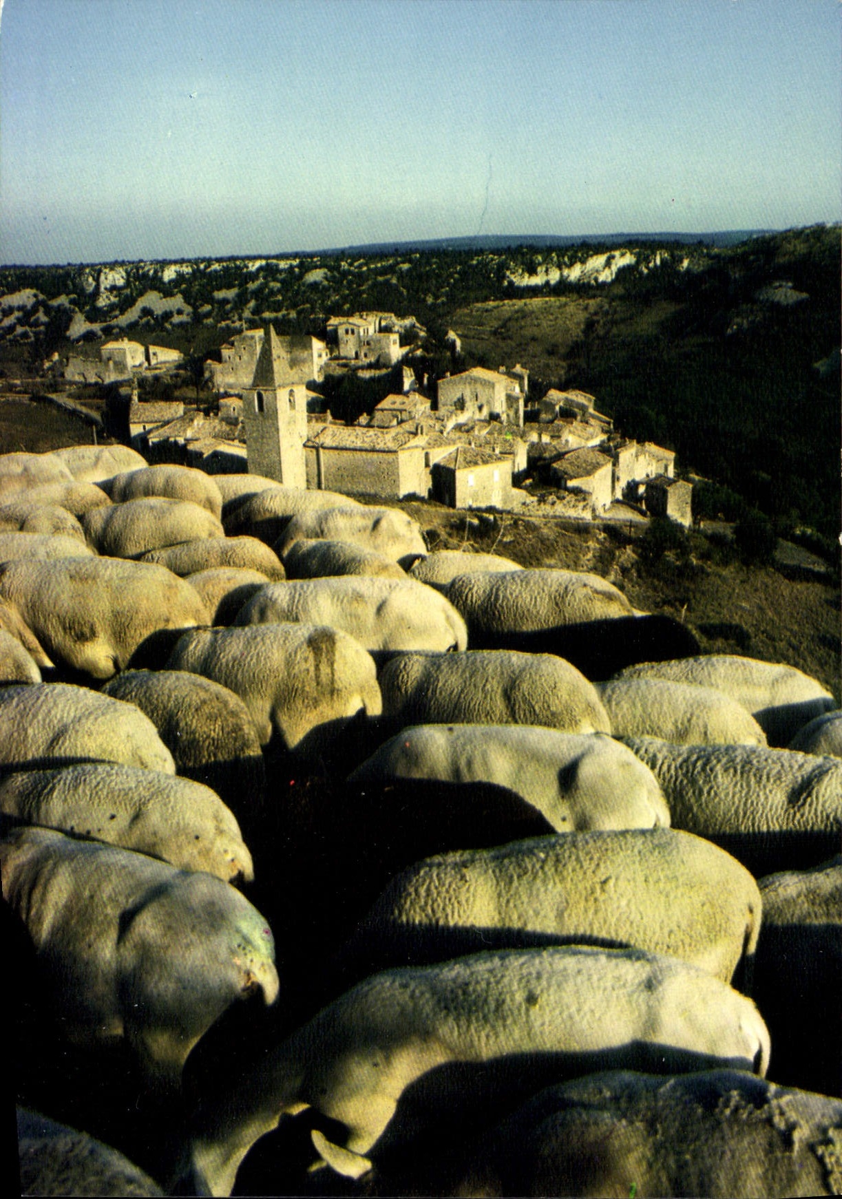 CPA Le Plateau des Gras Gras Ardeche Image pastorale