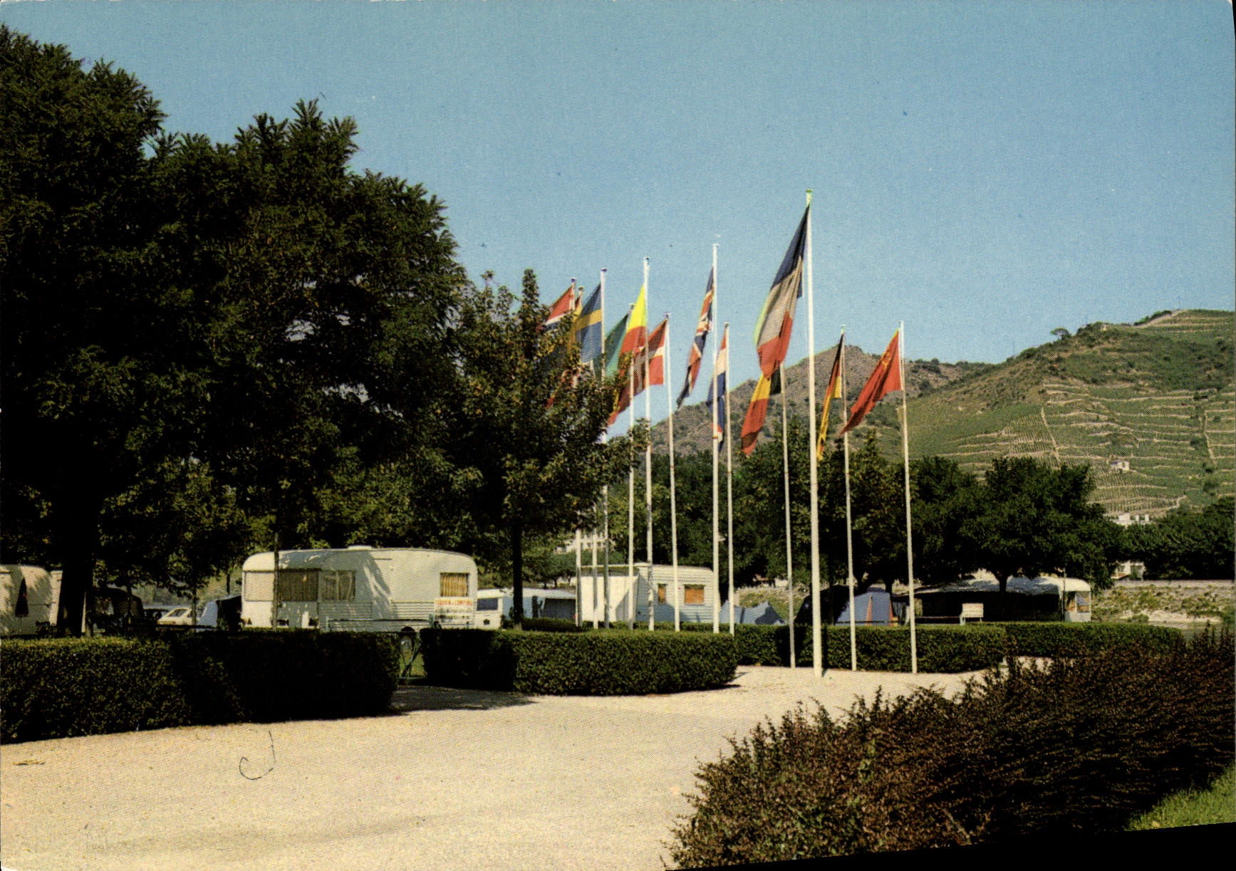 CPA Tournon Ardeche Le Camping Municipal