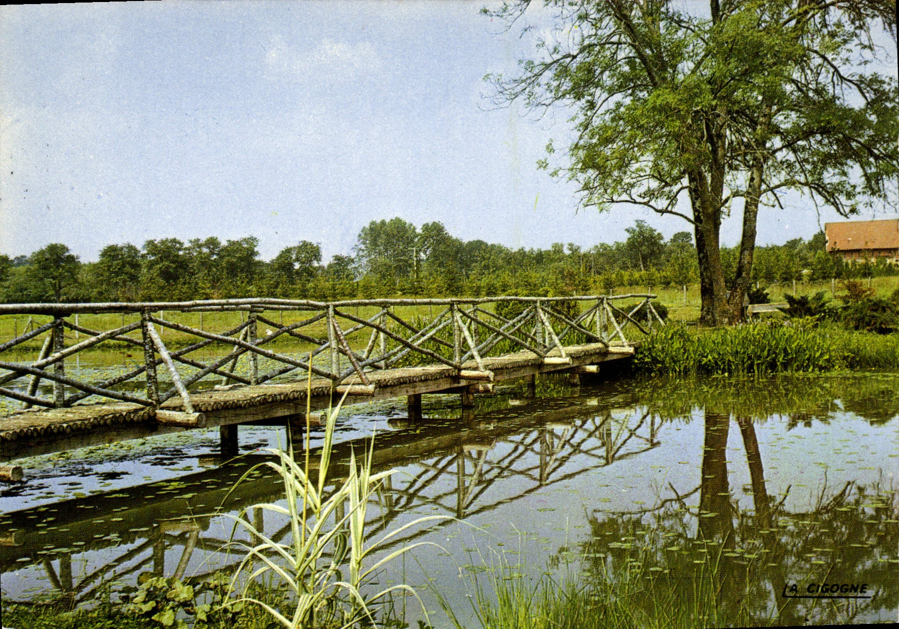 CPA Ervy le Chatel Aube L'Etang 