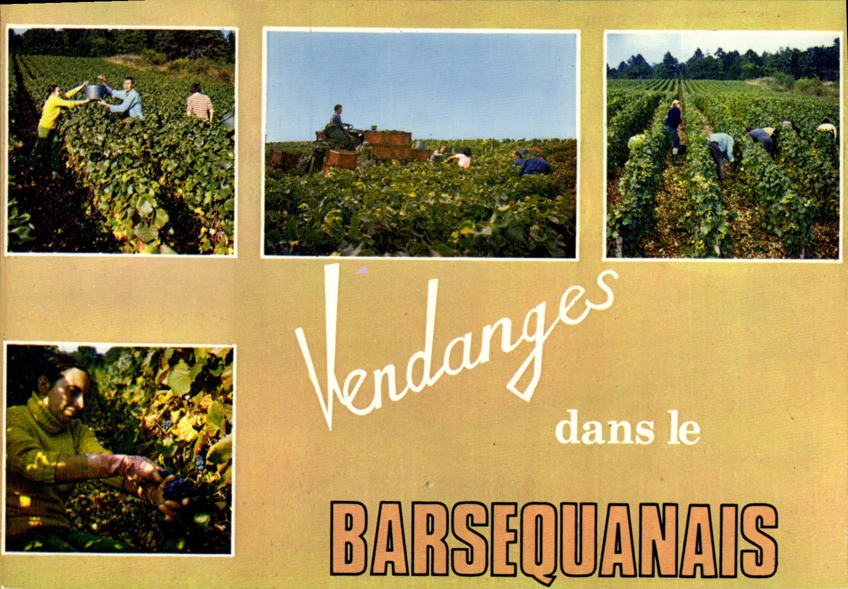 CPA Bar sur Seine Aube Scenes de vendanges