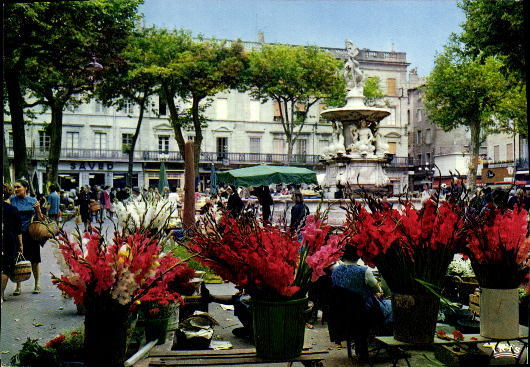 CPA Carcassonne Aude Place Carnot et fontaine de Neptune