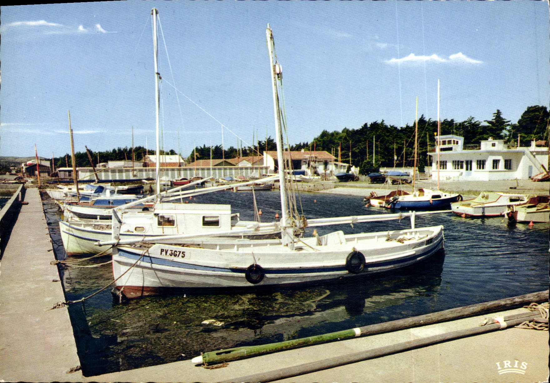 CPA Port la Nautique Aude Aux environs de Narbonne bateaux de plaisance 