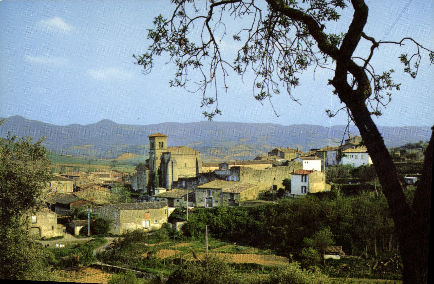 CPA Saint Hilaire Aude Vue generale 