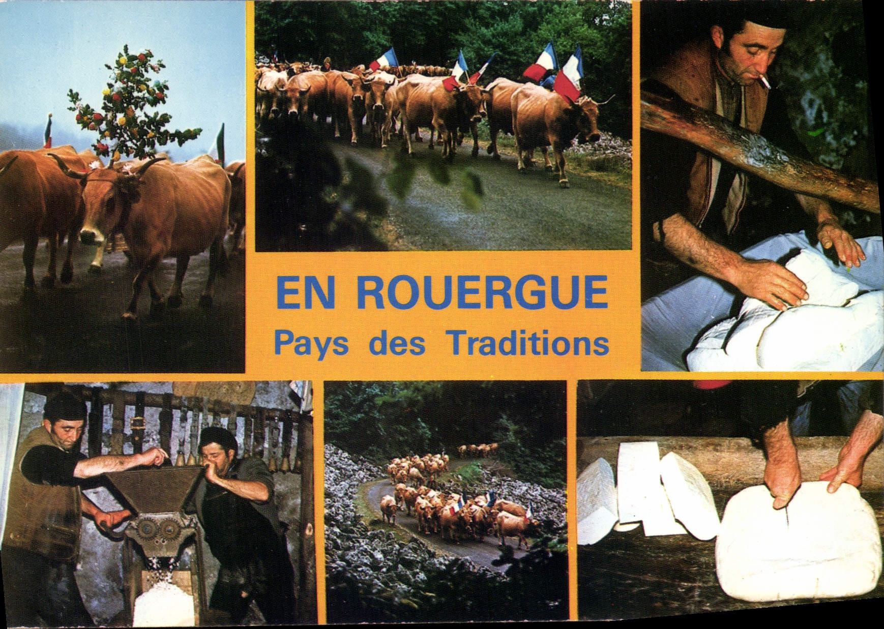 CPA En Rouergue La Transhumance 