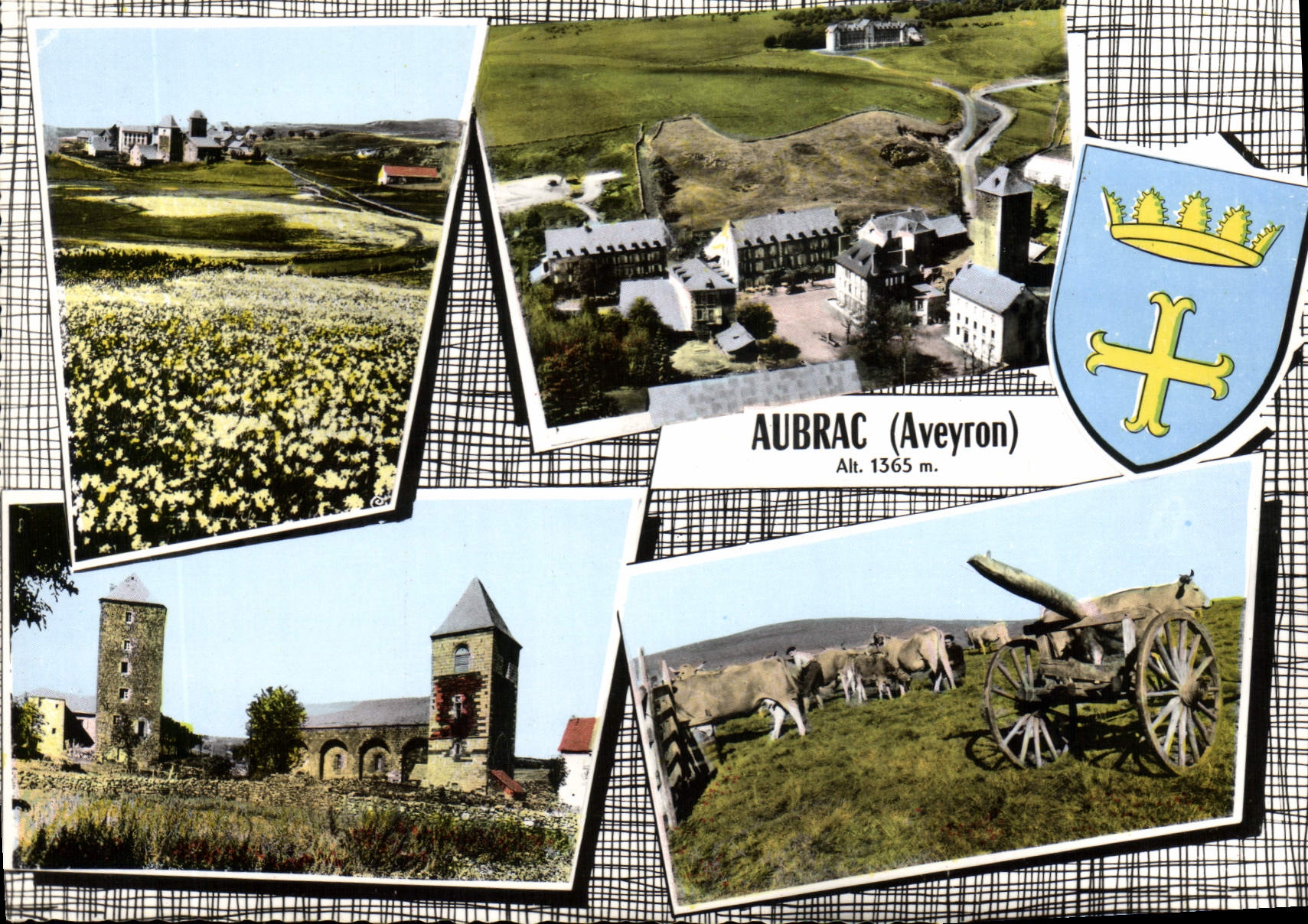 CPA Souvenir d'Aubrac Aveyron 