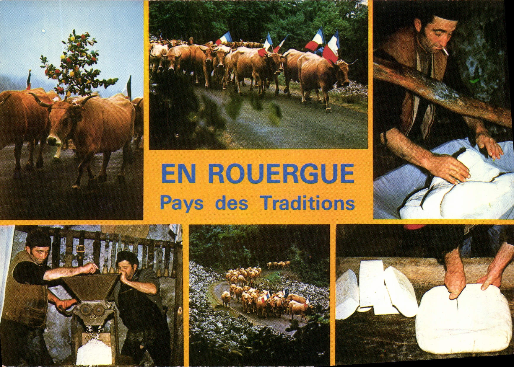 CPA En Rouergue La Transhumance
