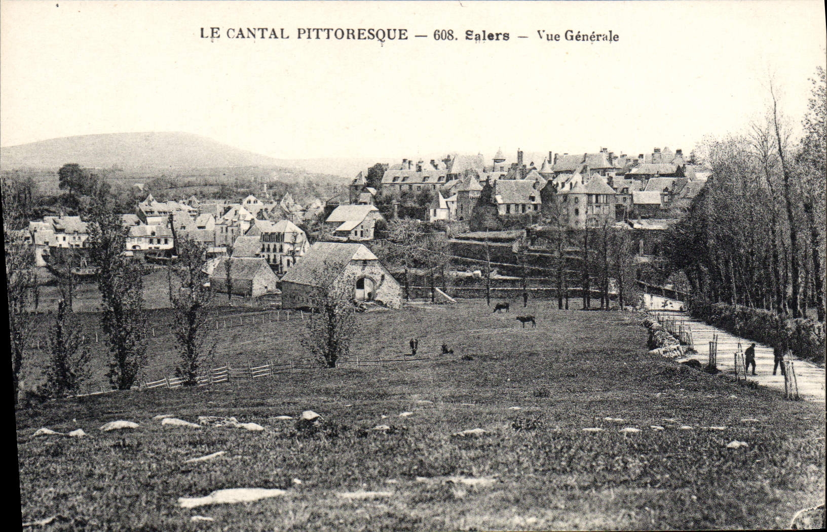 CPA Le Cantal Pittoresque Vue Generale