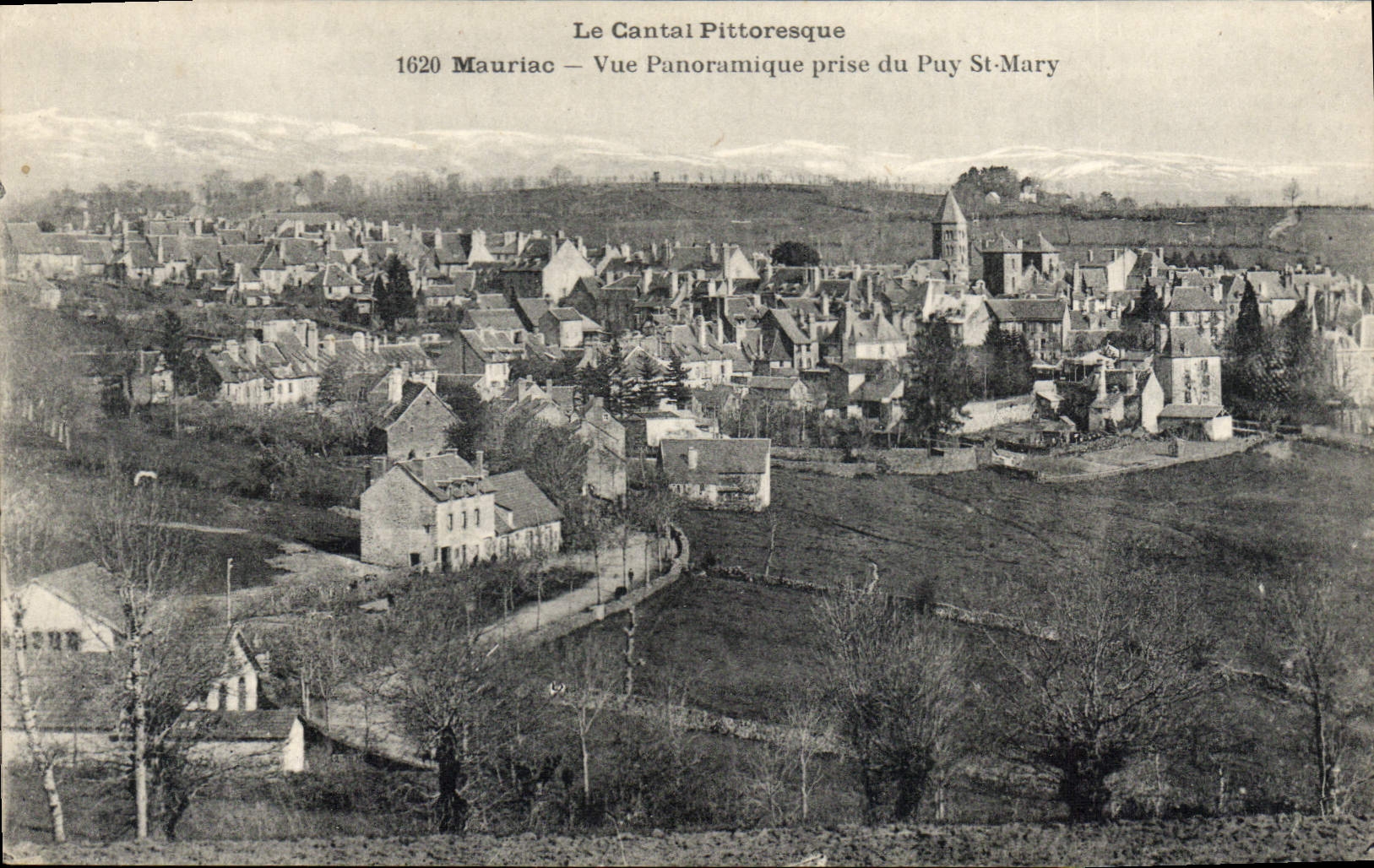 CPA Le Cantal Pittoresque Mauriac Vue Panoramique prise du Puy St Mary