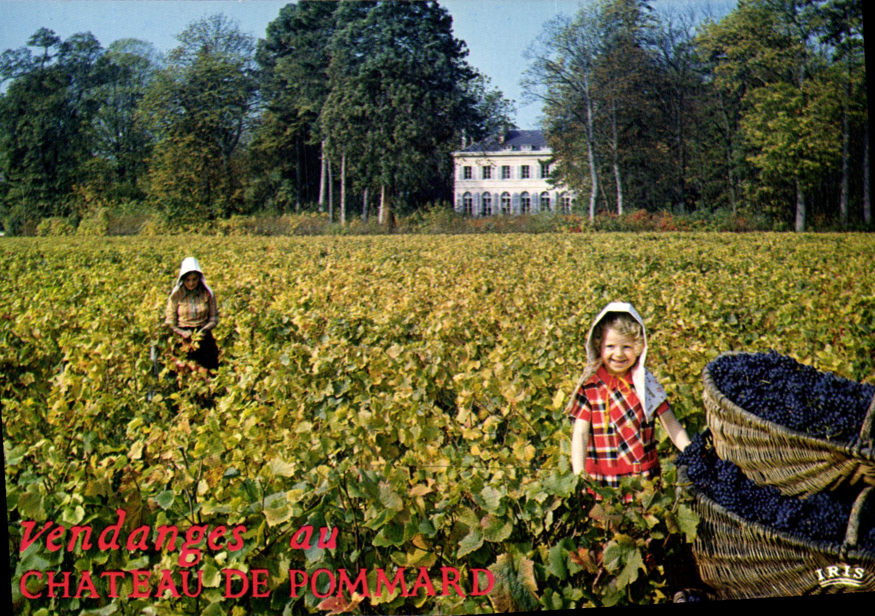 CPSM château de Pommard