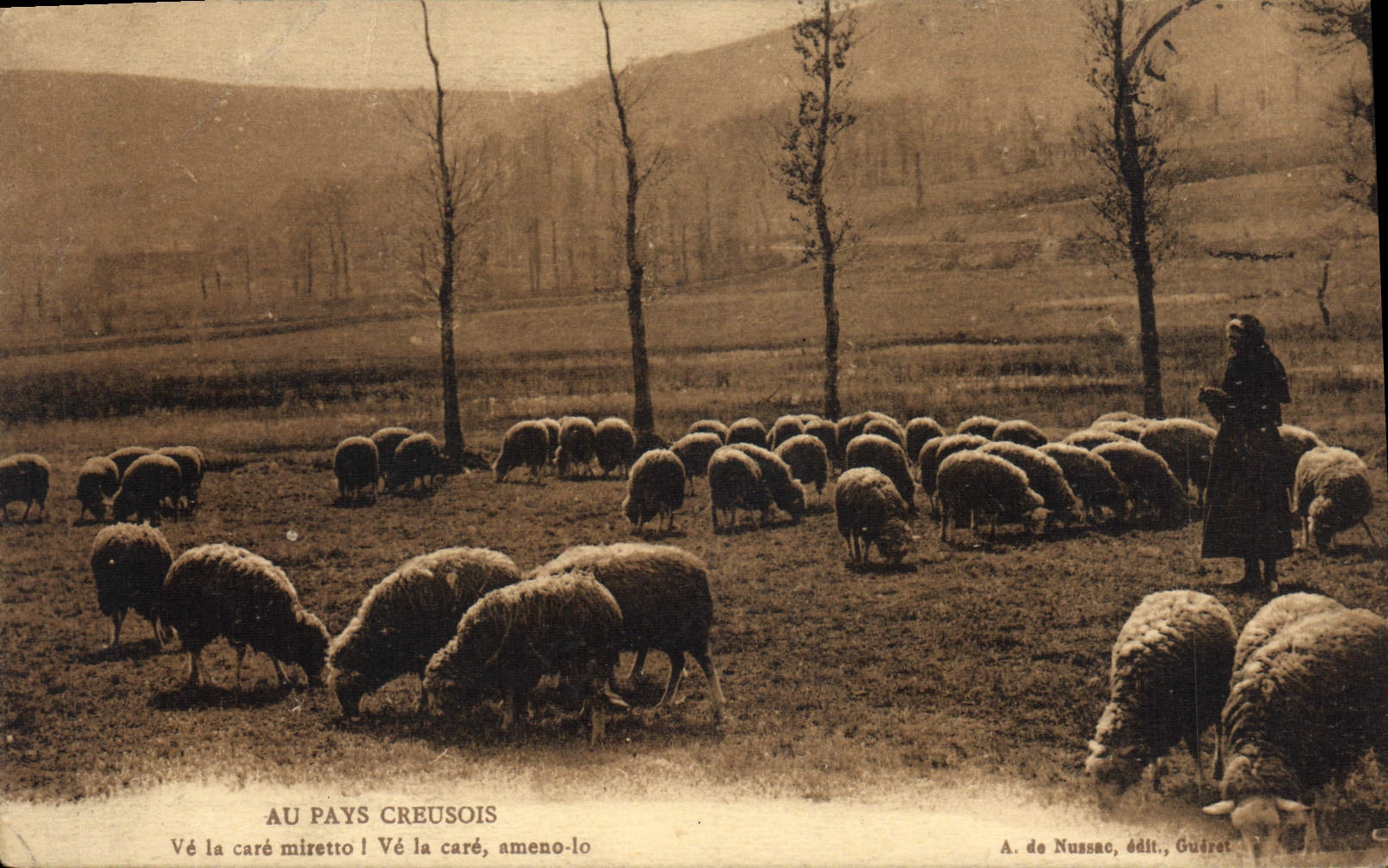 CPA au pays Creusois moutons