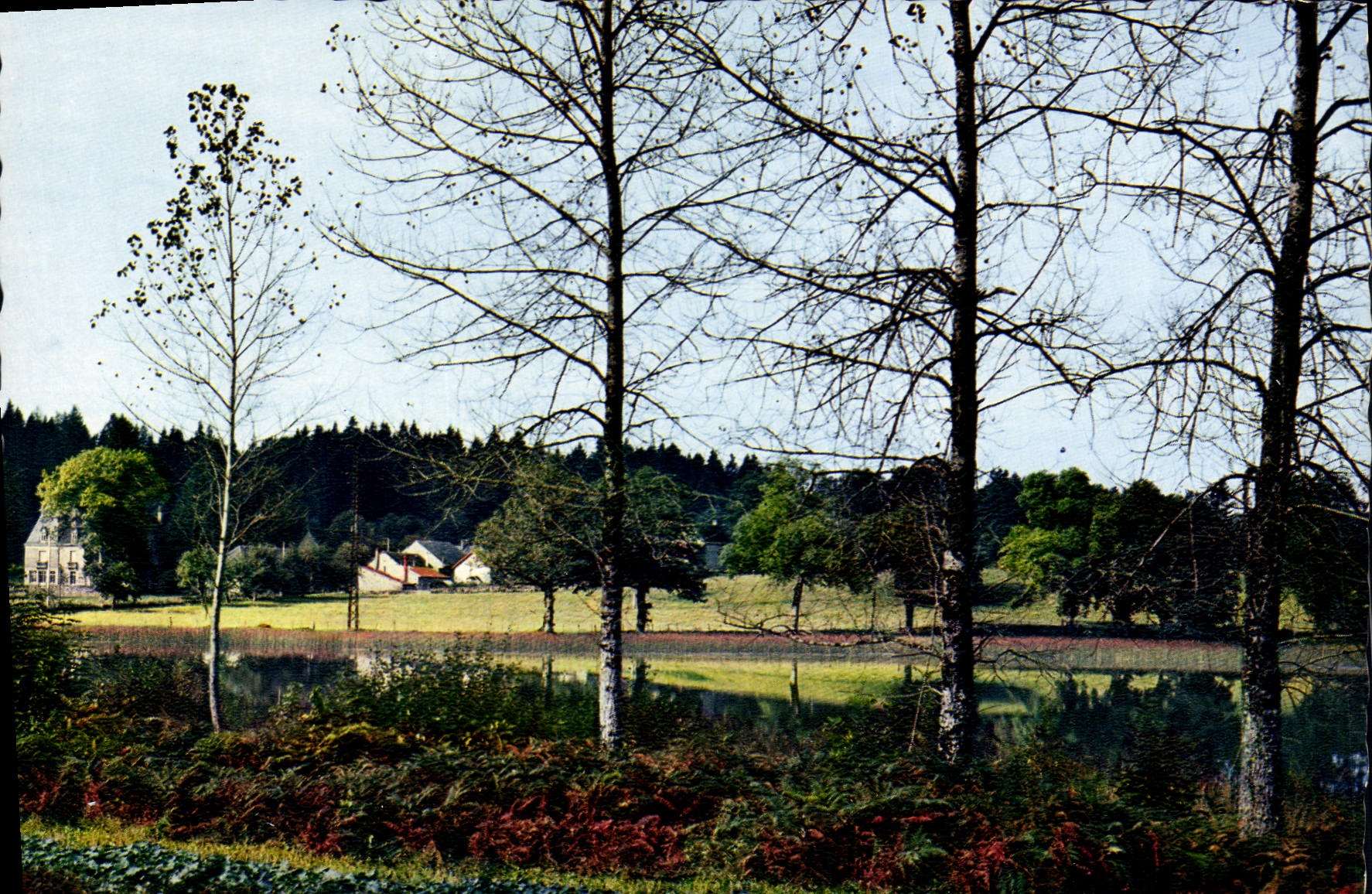 CPSM SAINT-GEORGES-LA-POUGE étang