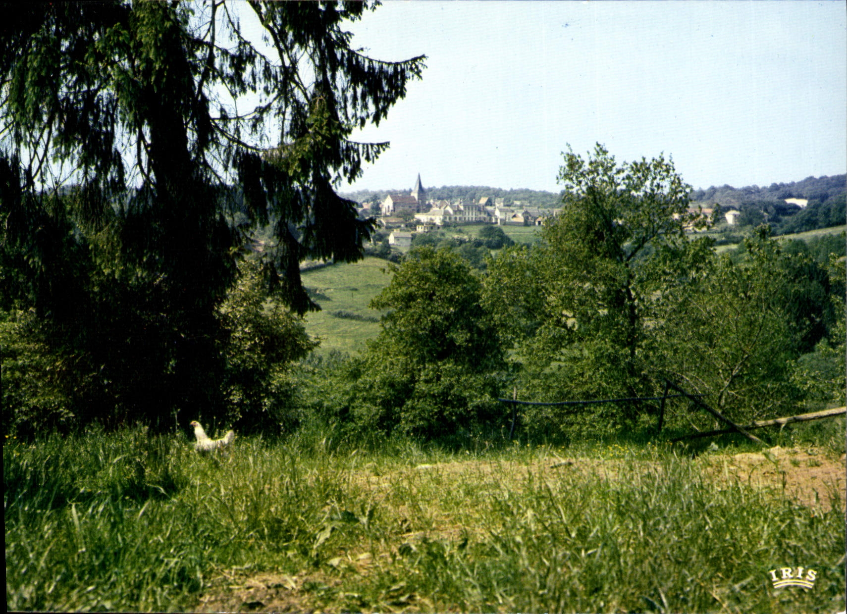 CPSM NAILLAT vue générale
