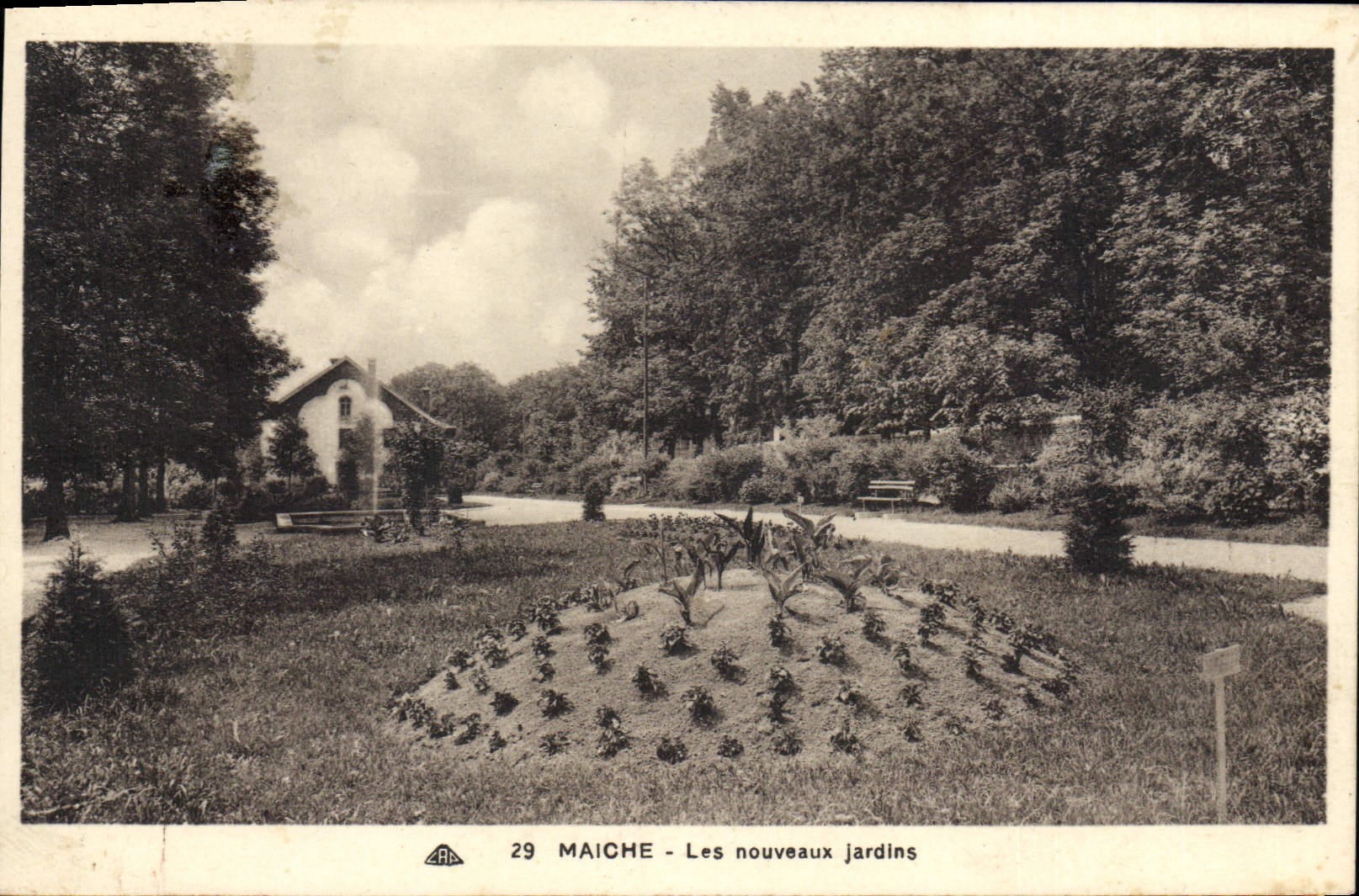 CPA Maiche Les Nouveaux Jardins
