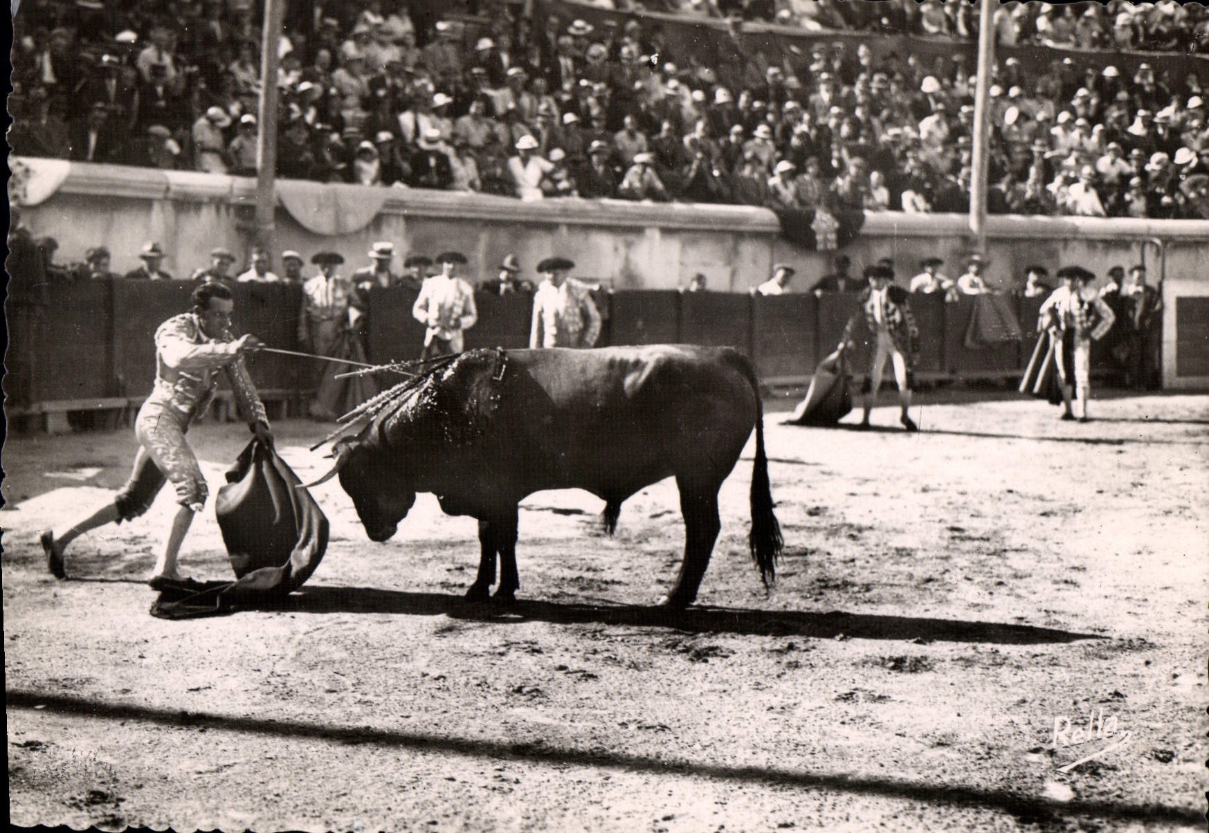 CPSM Nimes Course De Taureaux Aux Arenes mise à mort