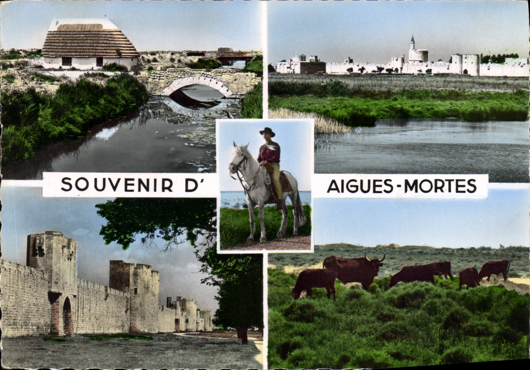 CPSM Souvenir D'Aigues Mortes