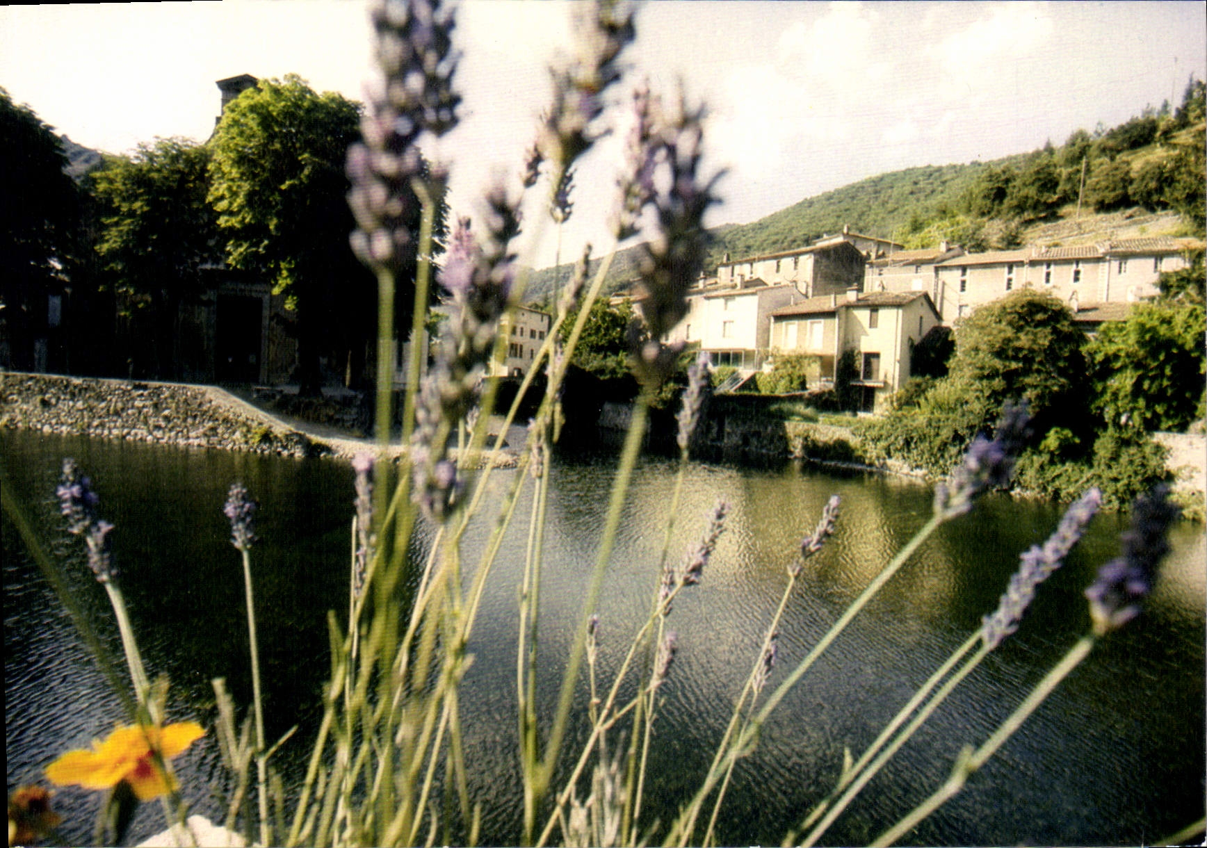 CPSM Valleraugue Ambiance Fleurie