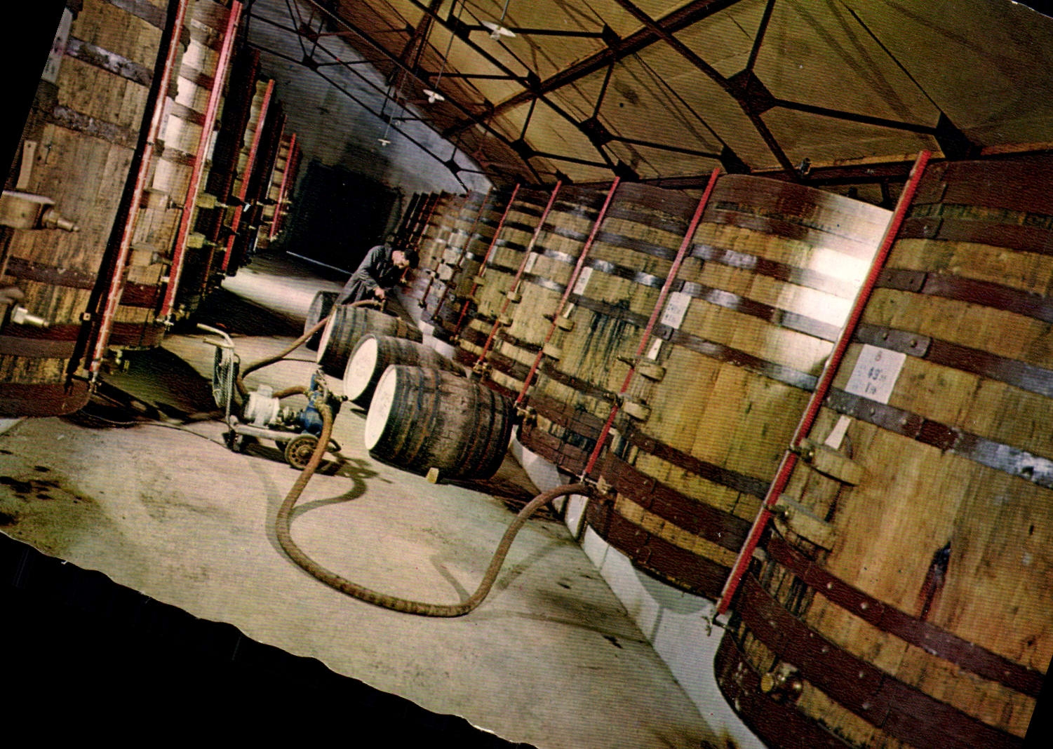 CPSM Gascogne Pittoresque Pays De L'Armagnac Un Interieur de Chais