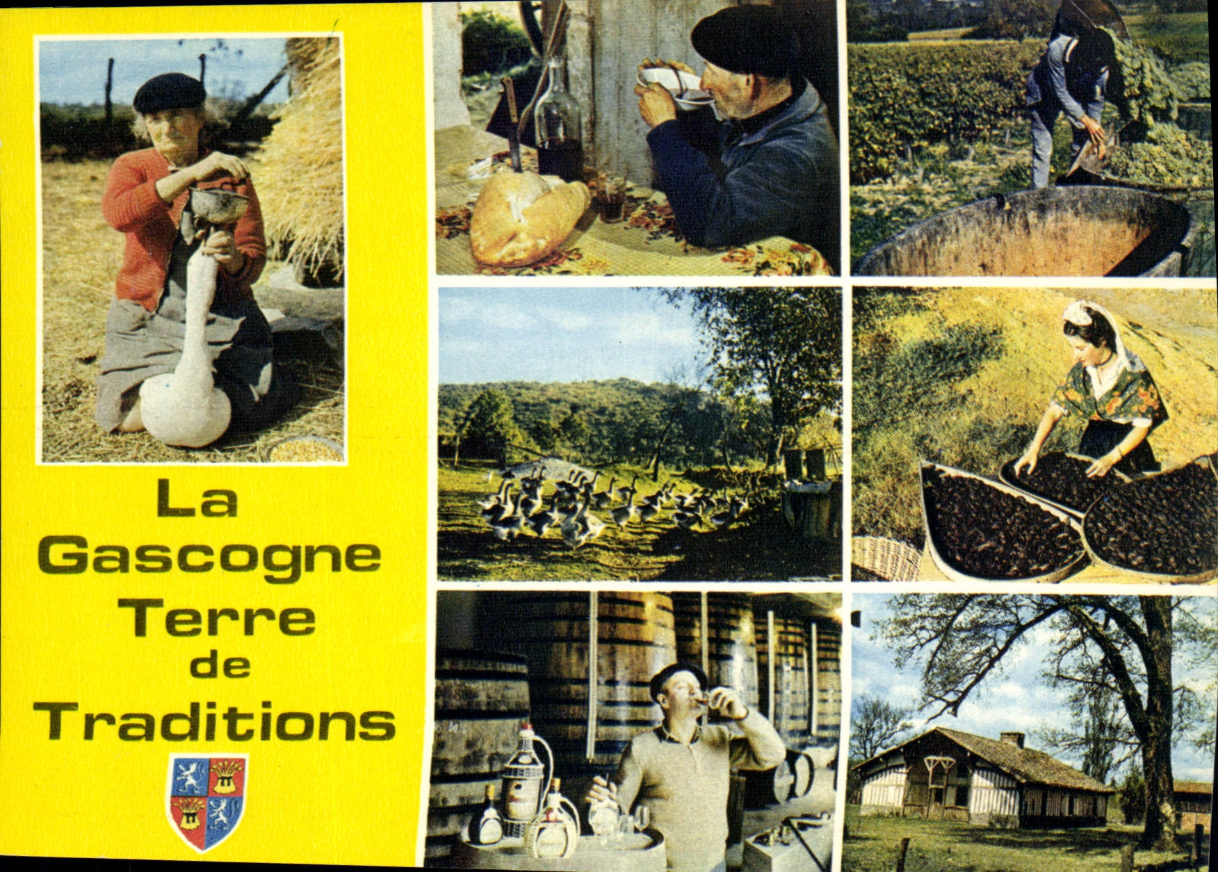 CPSM En Gascogne Pays des traditions gastronomiques
