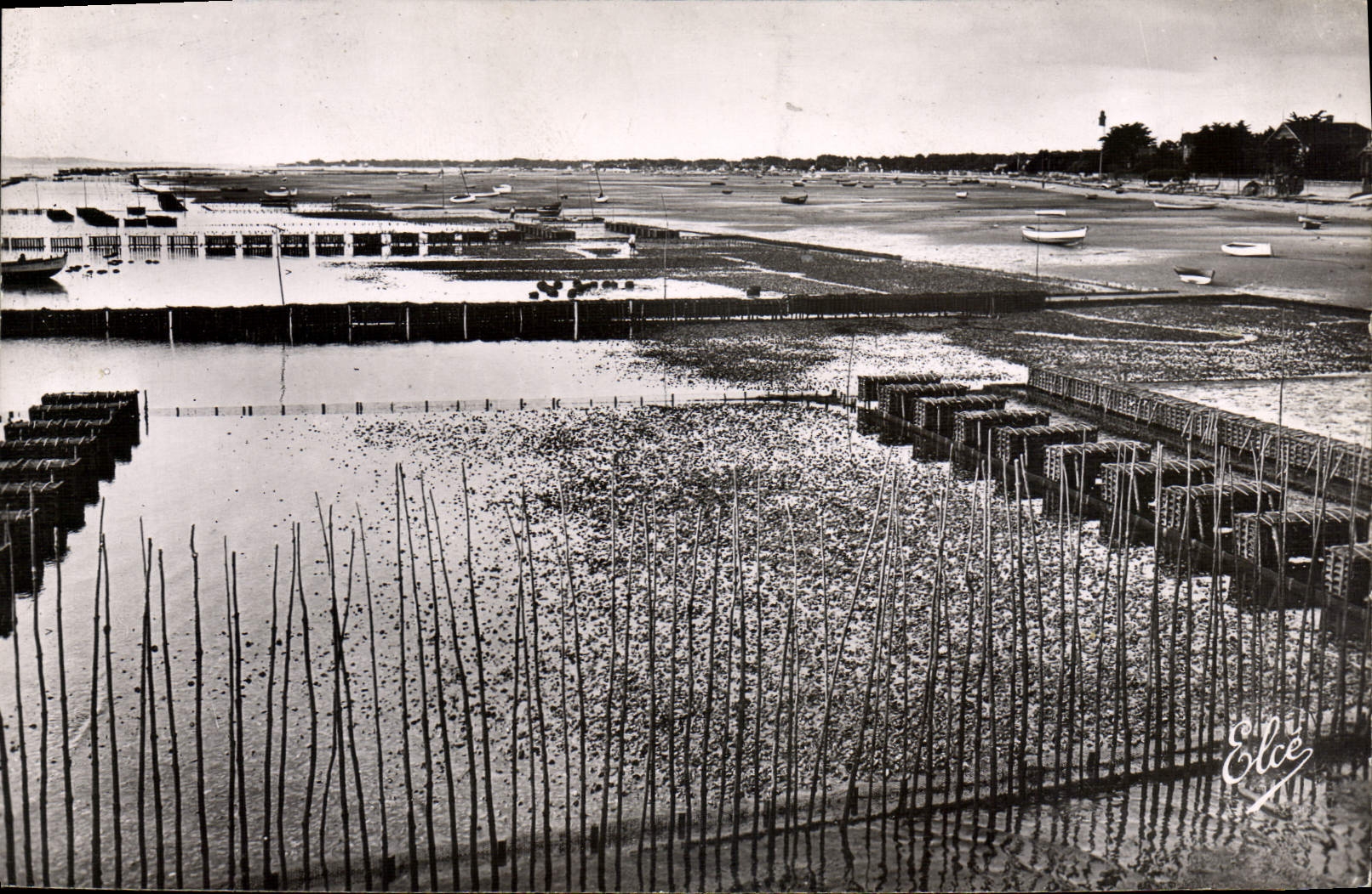 CPA Bassin D'Arcachon Cap Ferret Gironde Les Parcs aux Huitres vers le Phare