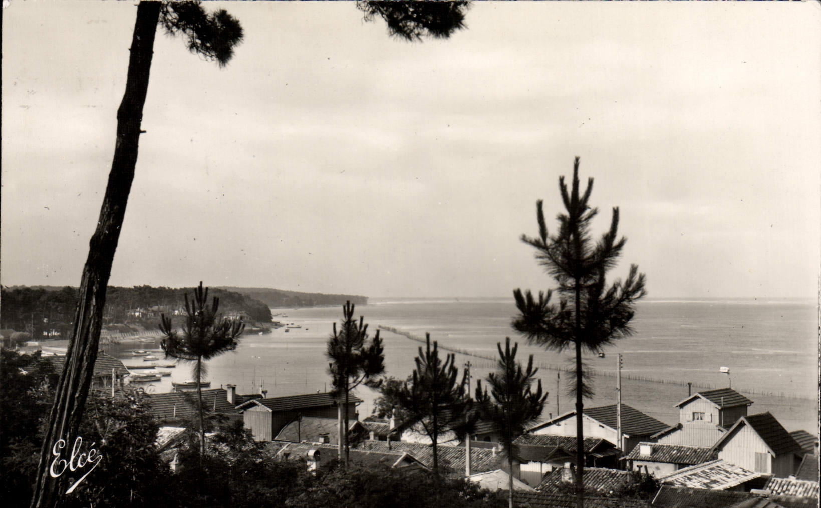 CPA Bassin d'Arcachon Le Canon Vue du Bassin vers le Grand Piquey depuis les dunes