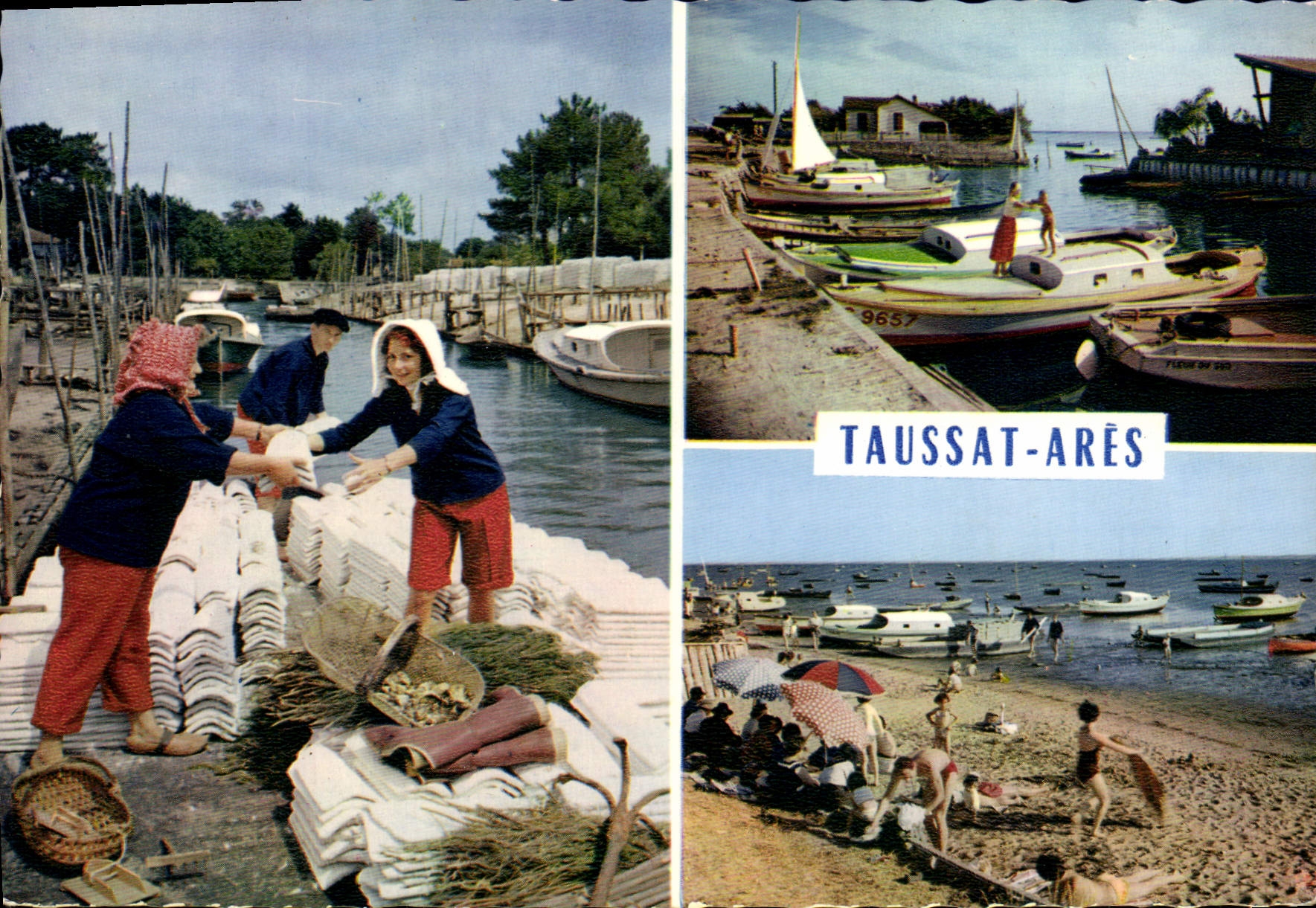 CPSM Bassin D'Arcachon Scene Ostréïcole a Andeinos Le Port de Taussat La Plage d'Ares