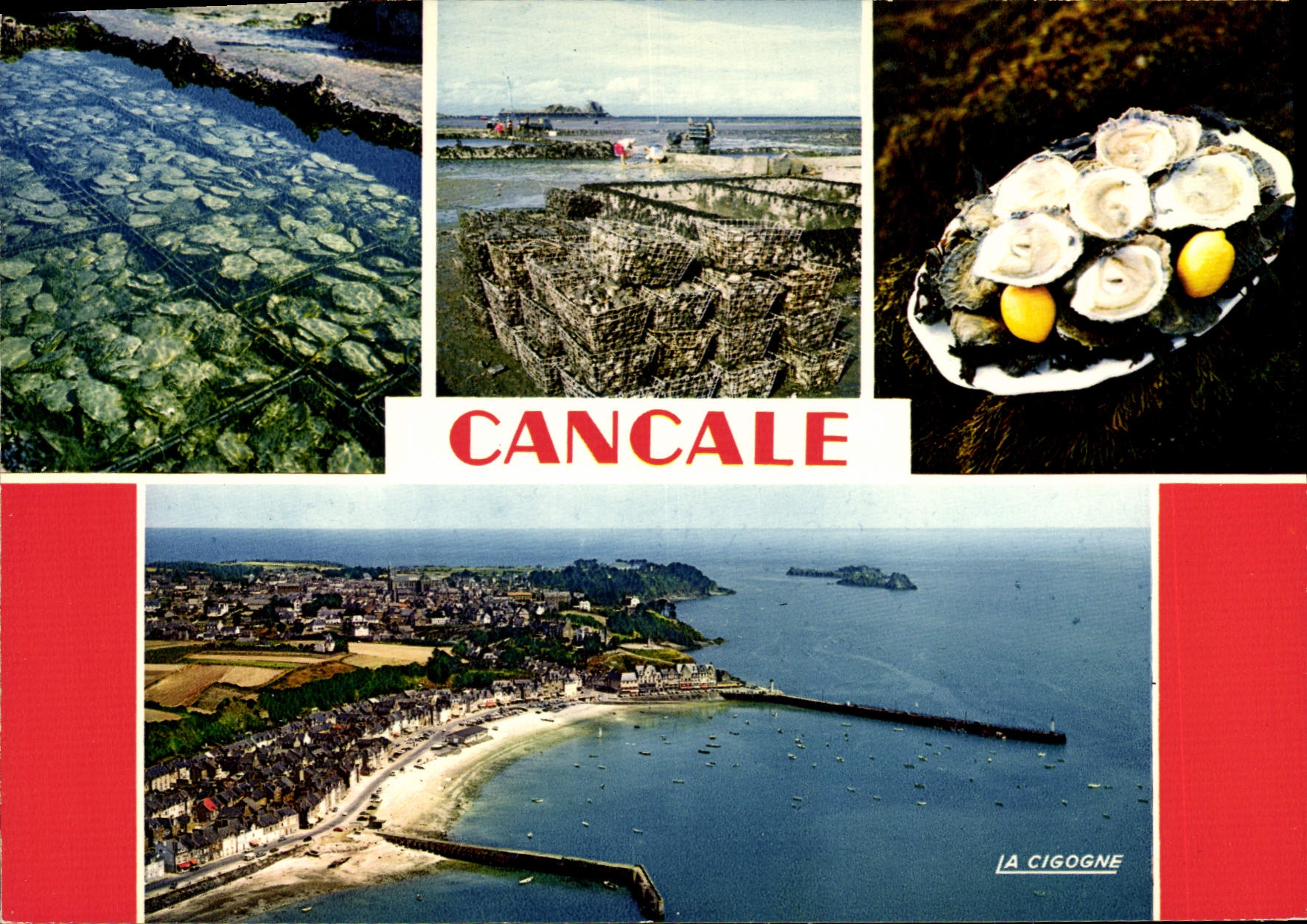 CPSM Cancale Les Huîtres Fameuses