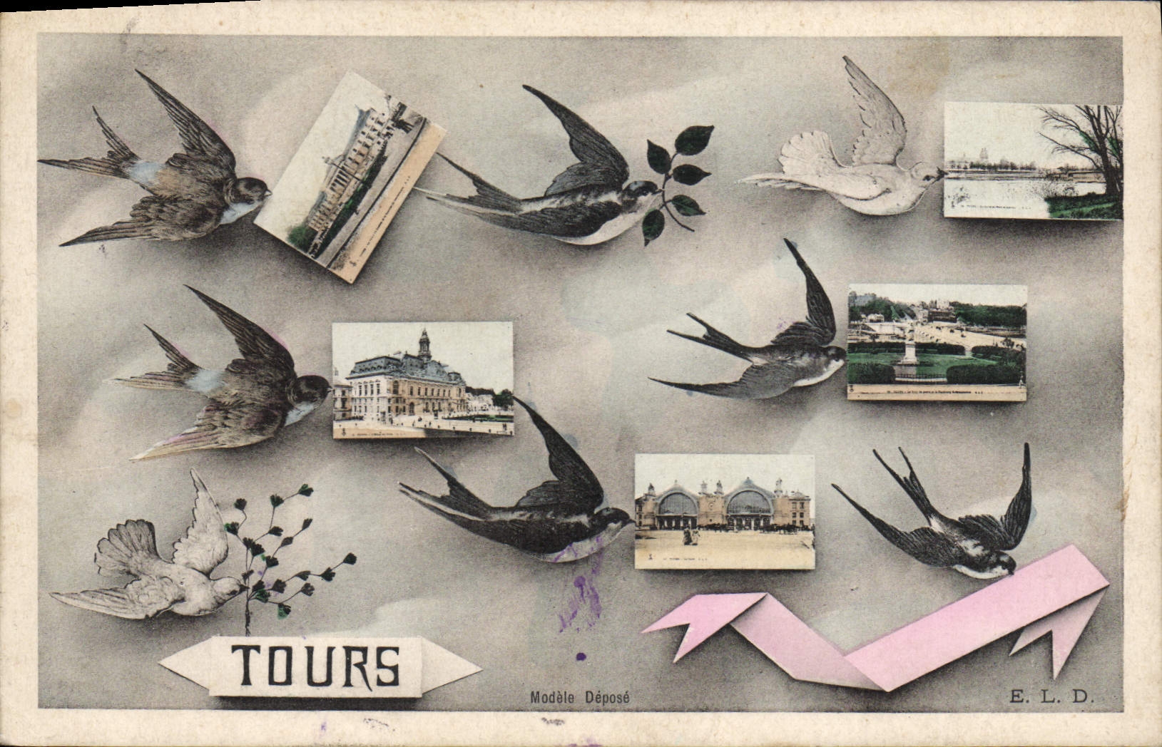 CPA Tours oiseaux