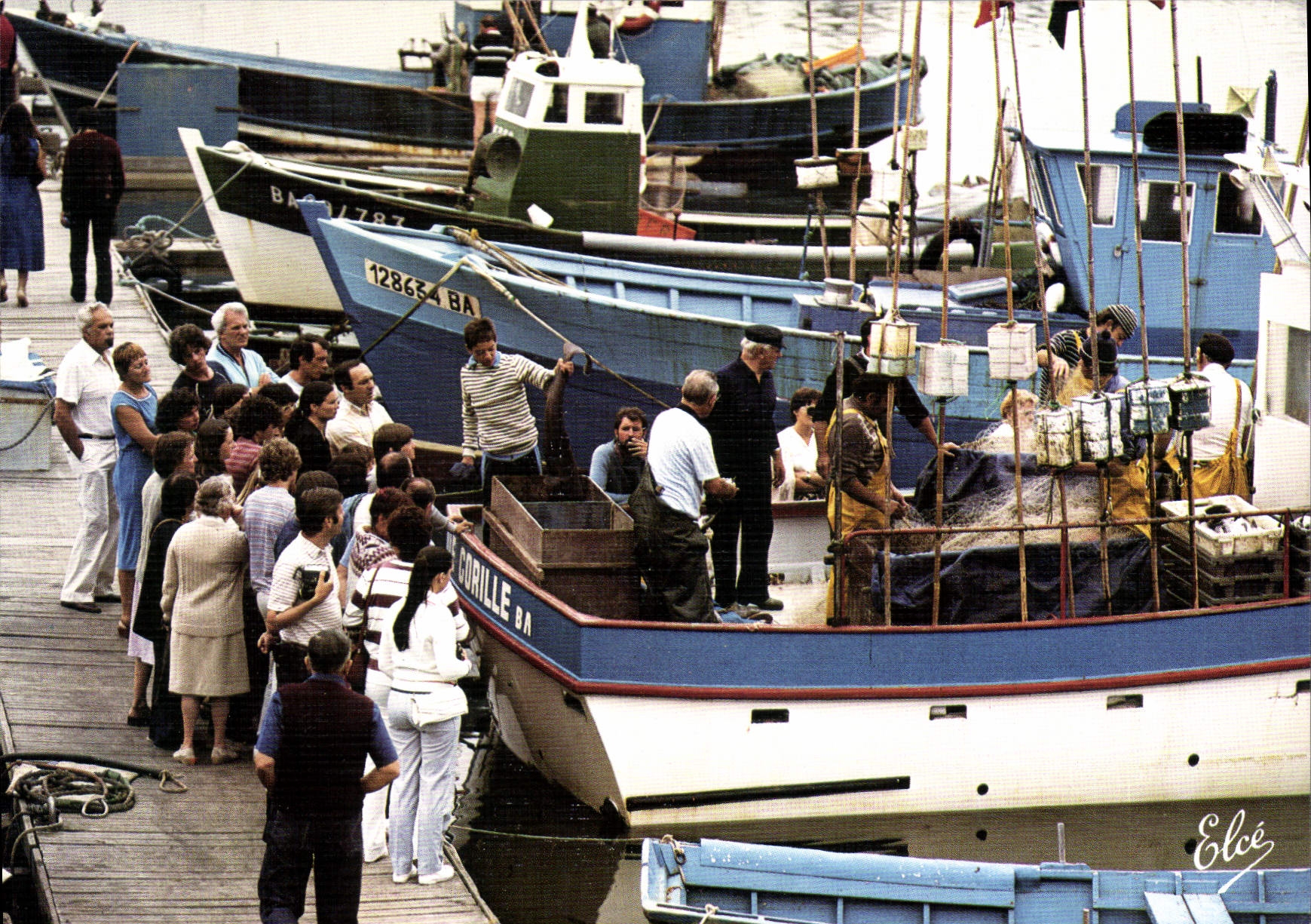CPSM CAPBRETON La Criée Au Port De Peche
