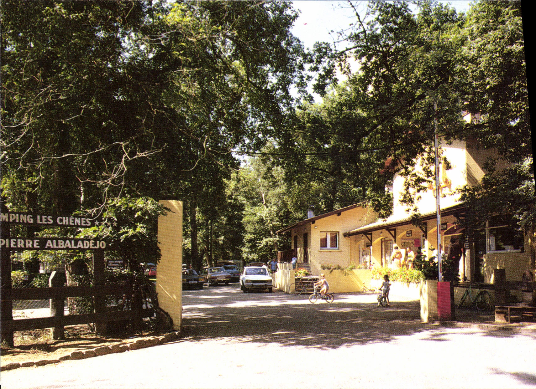 CPSM Dax Camping Les Chenes Au Bois De Boulogne