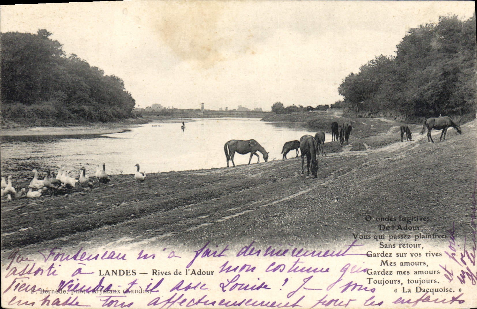 CPA Landes Rives De I'Adour