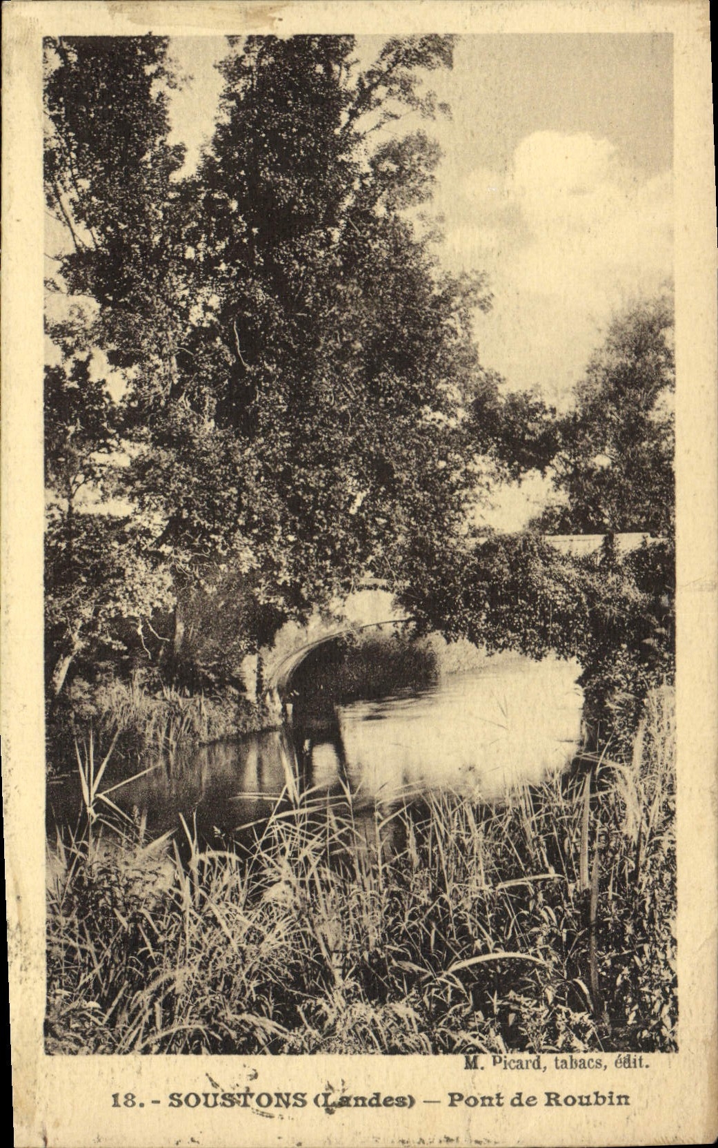 CPA Soustons Pont De Roubin
