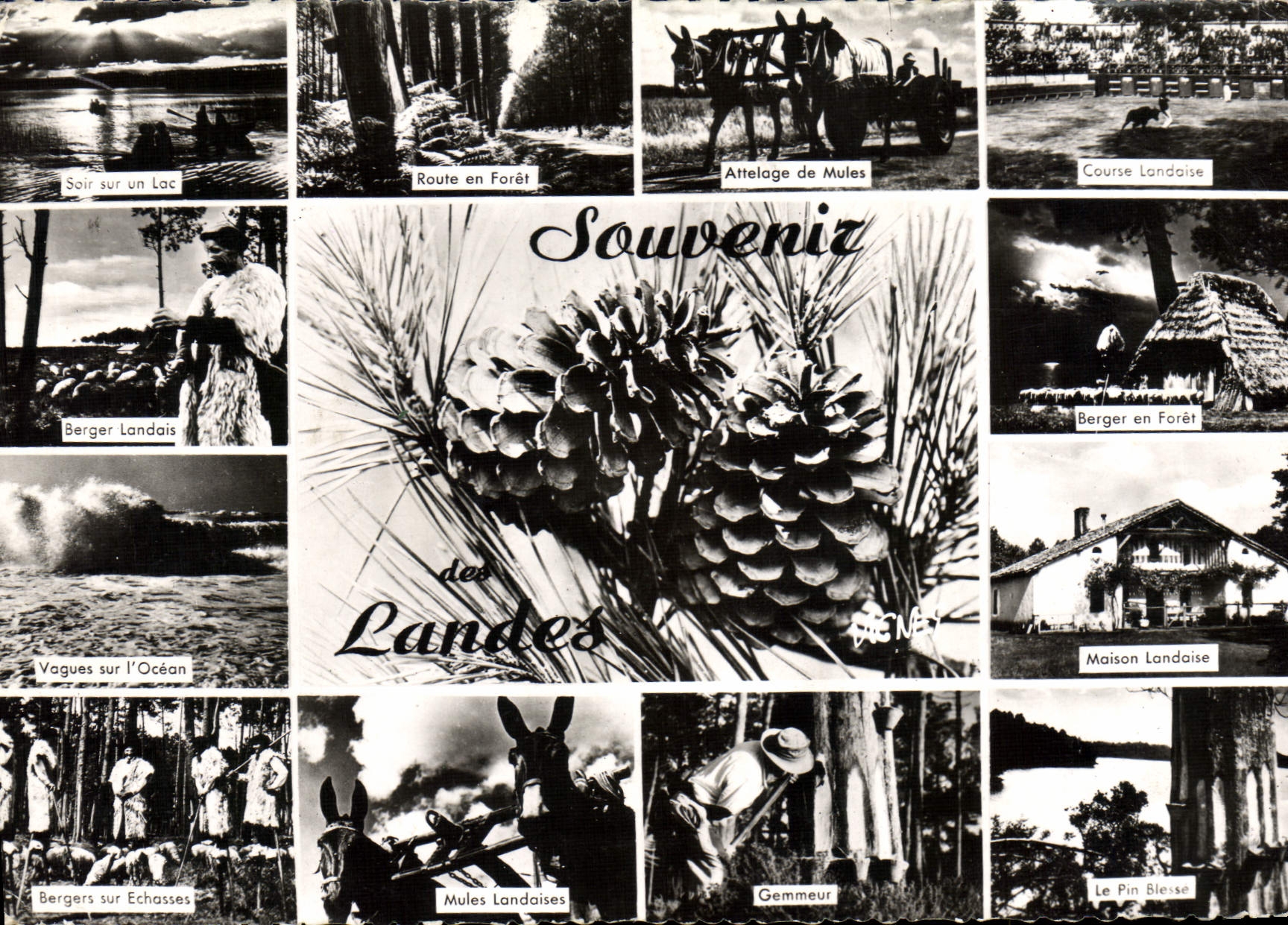 CPSM Visage Des Landes 