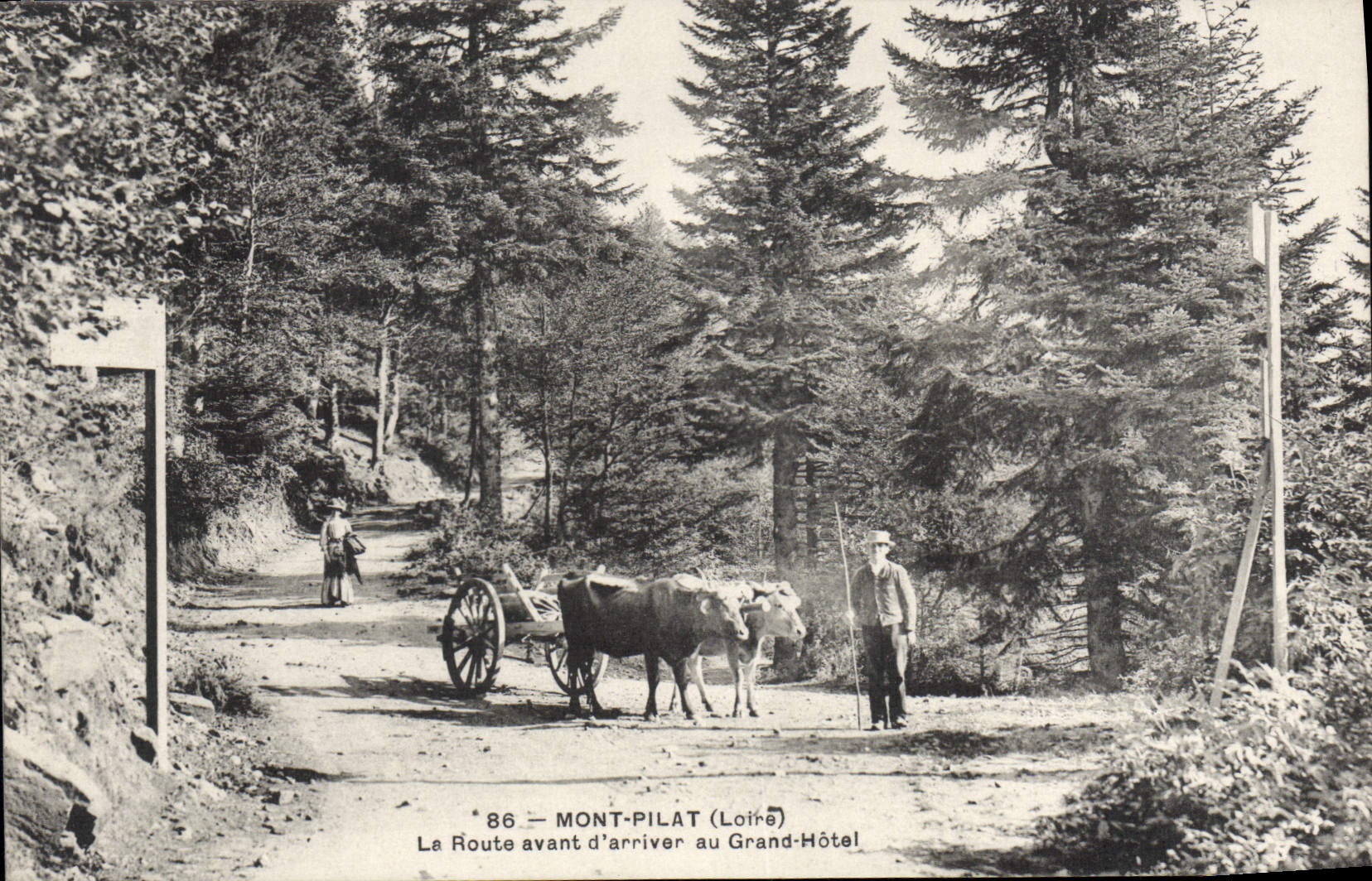 CPA Mont Pilat La Route avant d'arriver au Grand Hotel