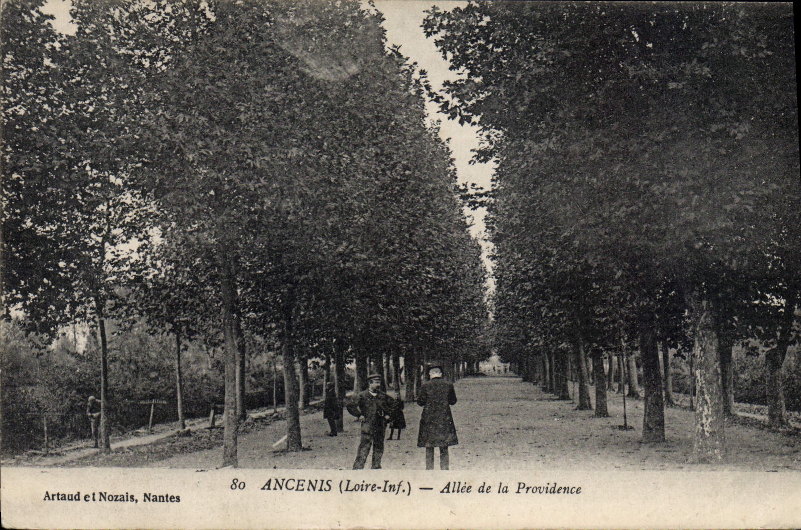 CPA Ancenis Allee De La Providence