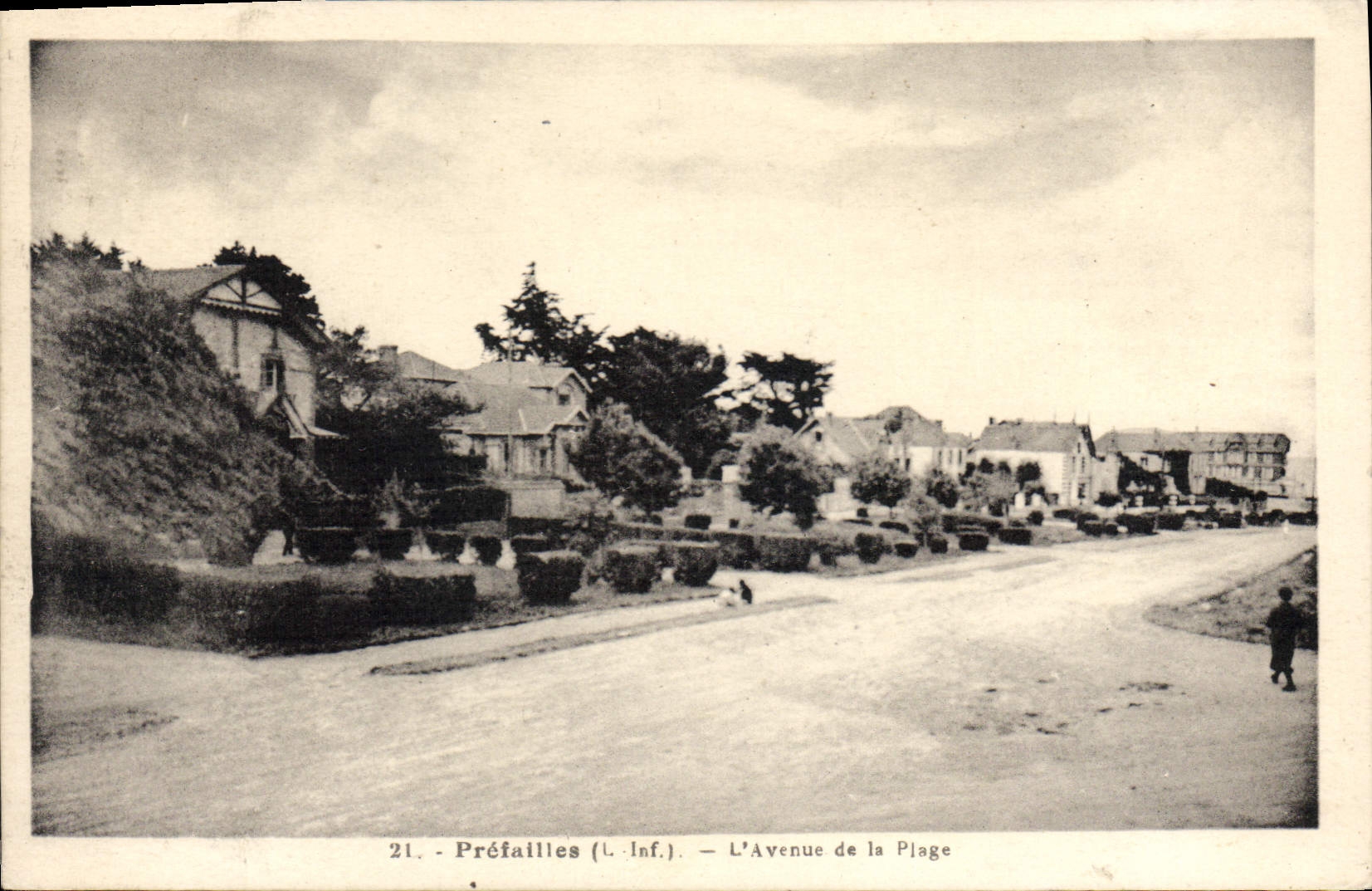 CPA Prefailles L'Avenue De La Plage