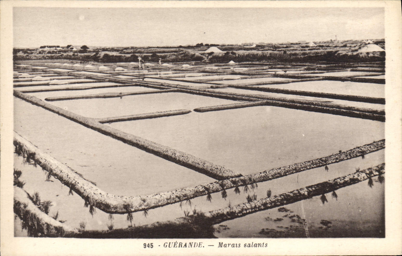 CPA Guerande Marais Salants