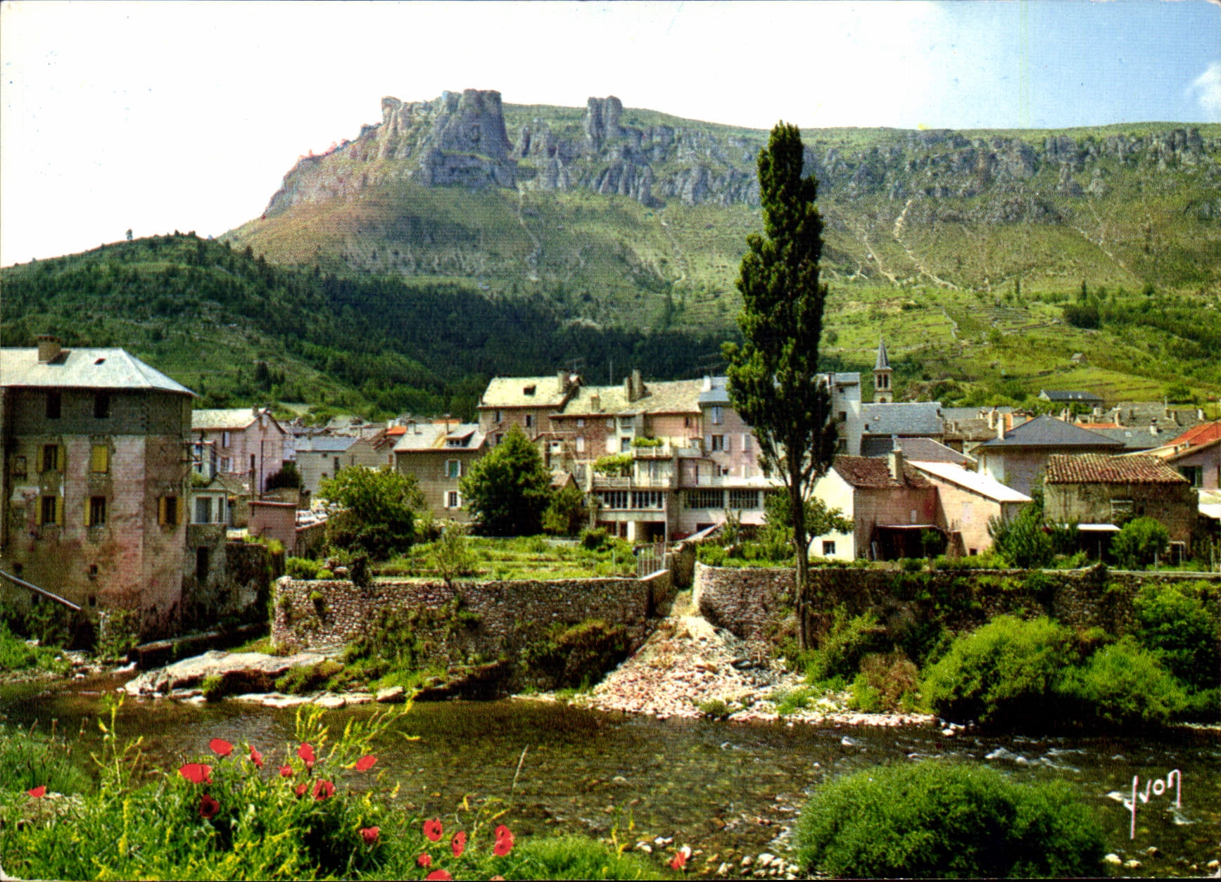 CPSM Florac Les Bords Du Tarnon