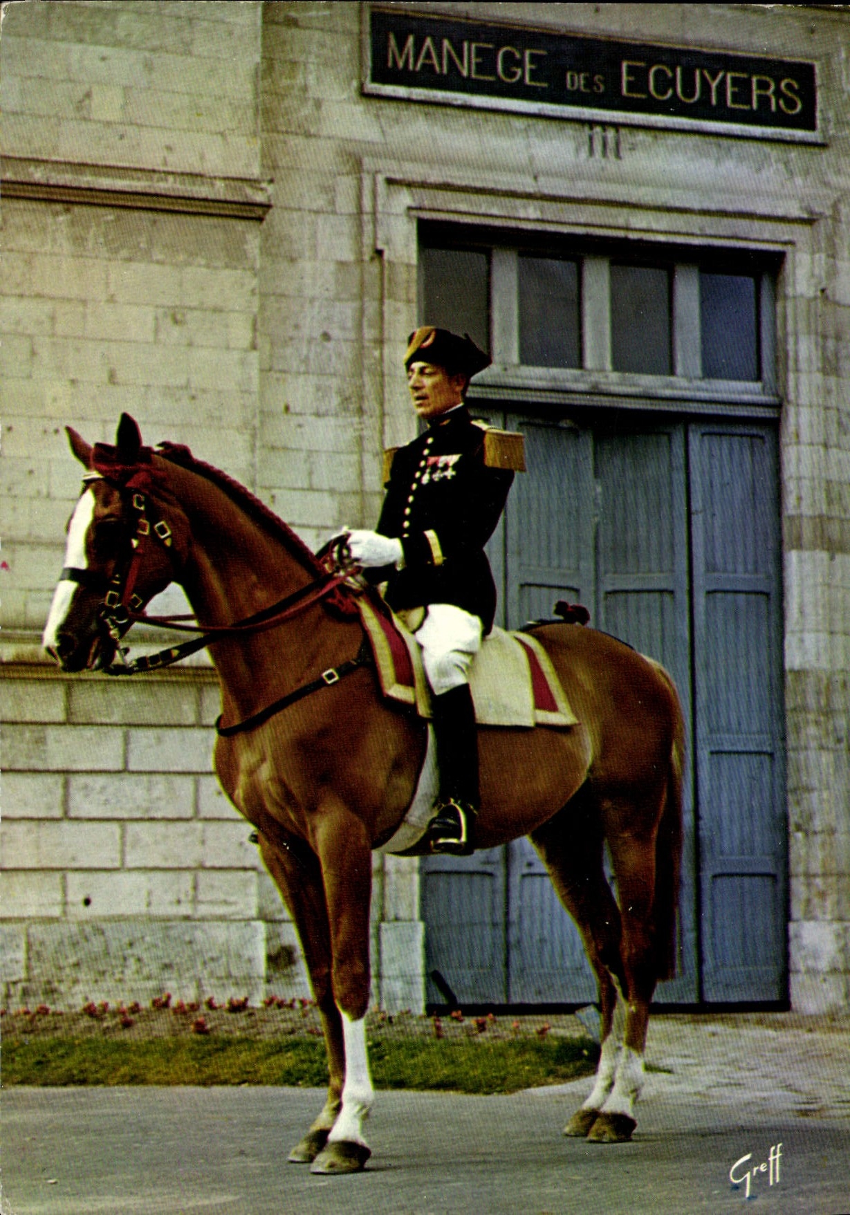 CPSM Saumur Officier Du Cadre Noir