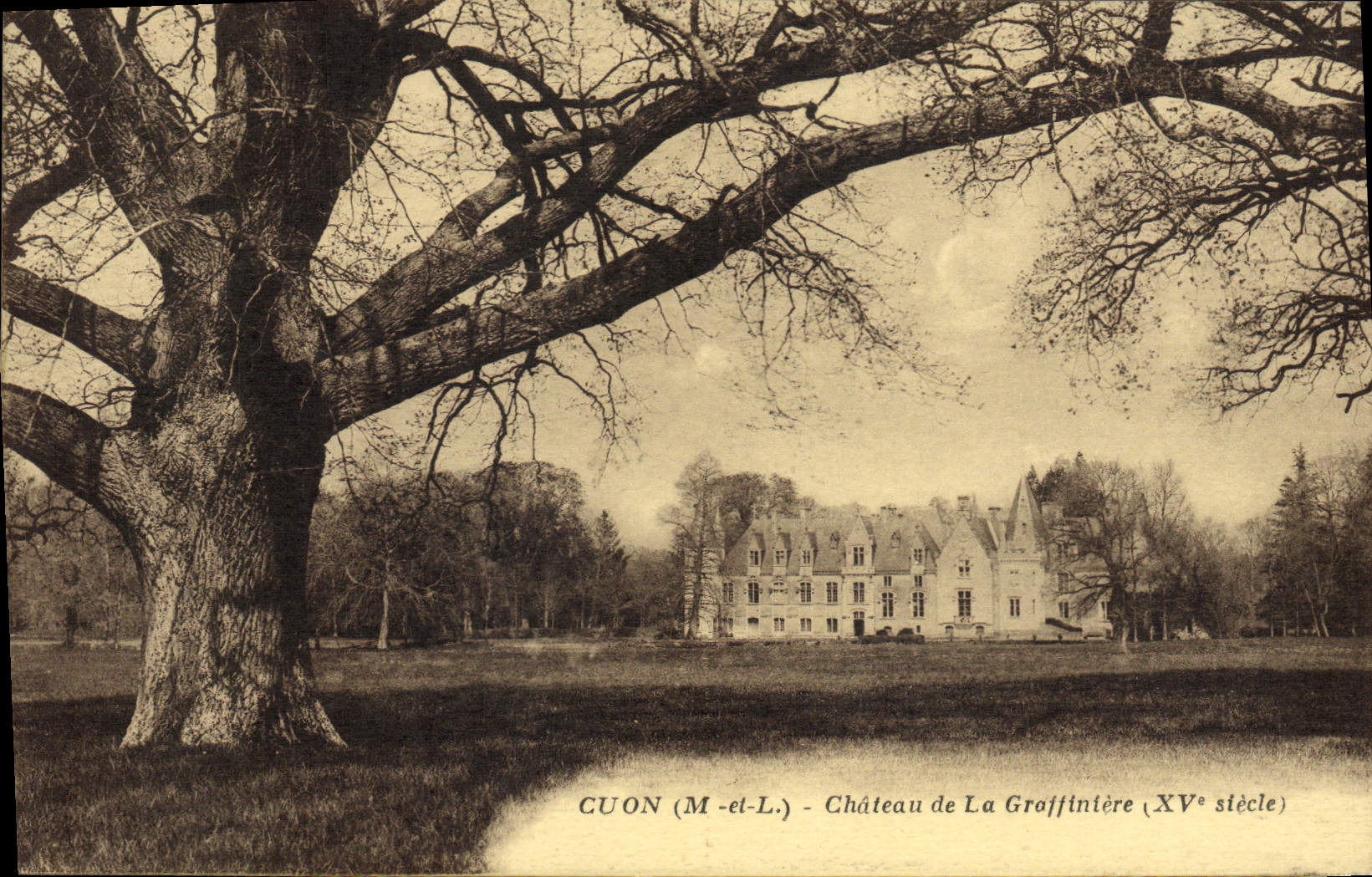 CPA Cuon Chateau De La Graffiniere