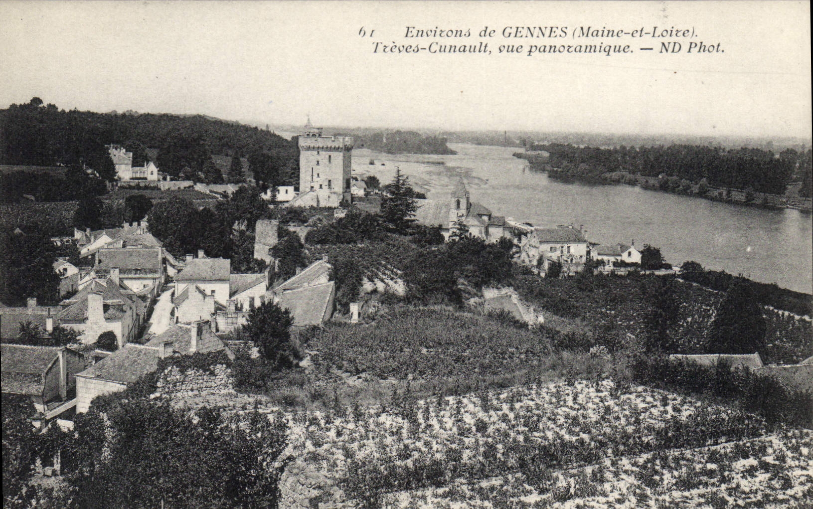 CPA Gennes Treves-Cunault Vue Panoramique