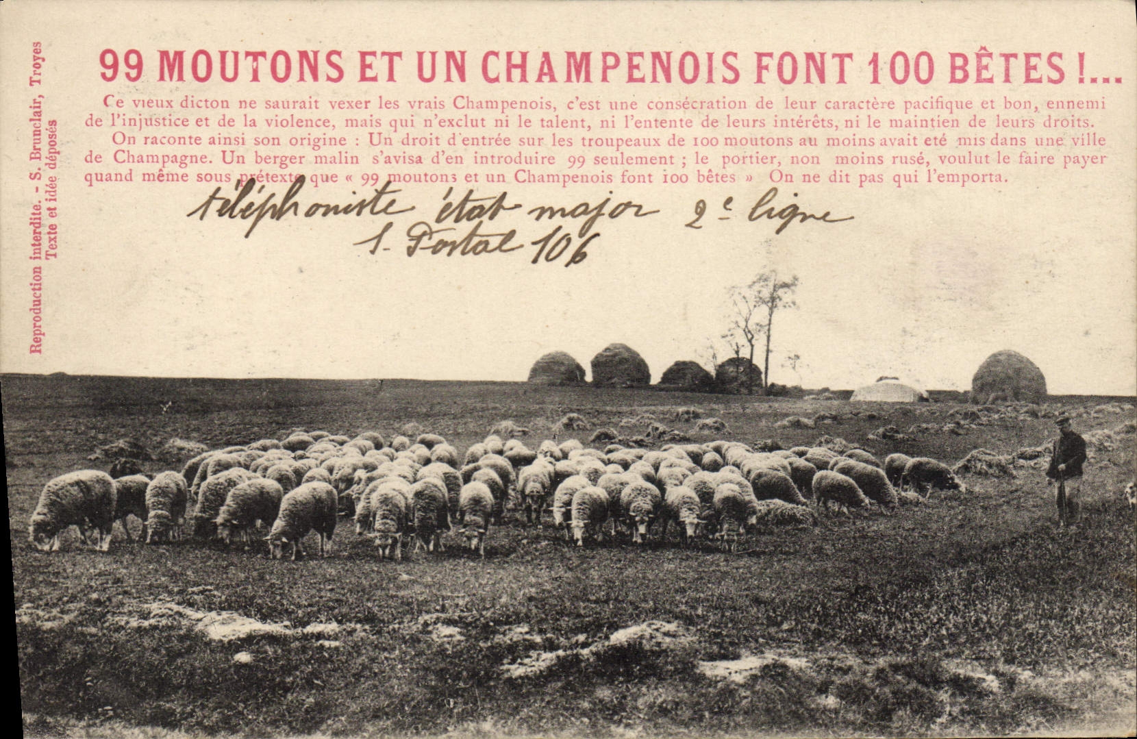 CPA 99 Moutons Et Un Champenois Font 100 bêtes