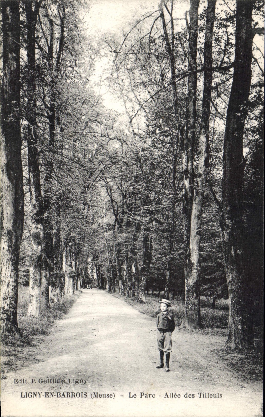 CPA Ligny En Barrois Le Parc Allee Des Tilleuls