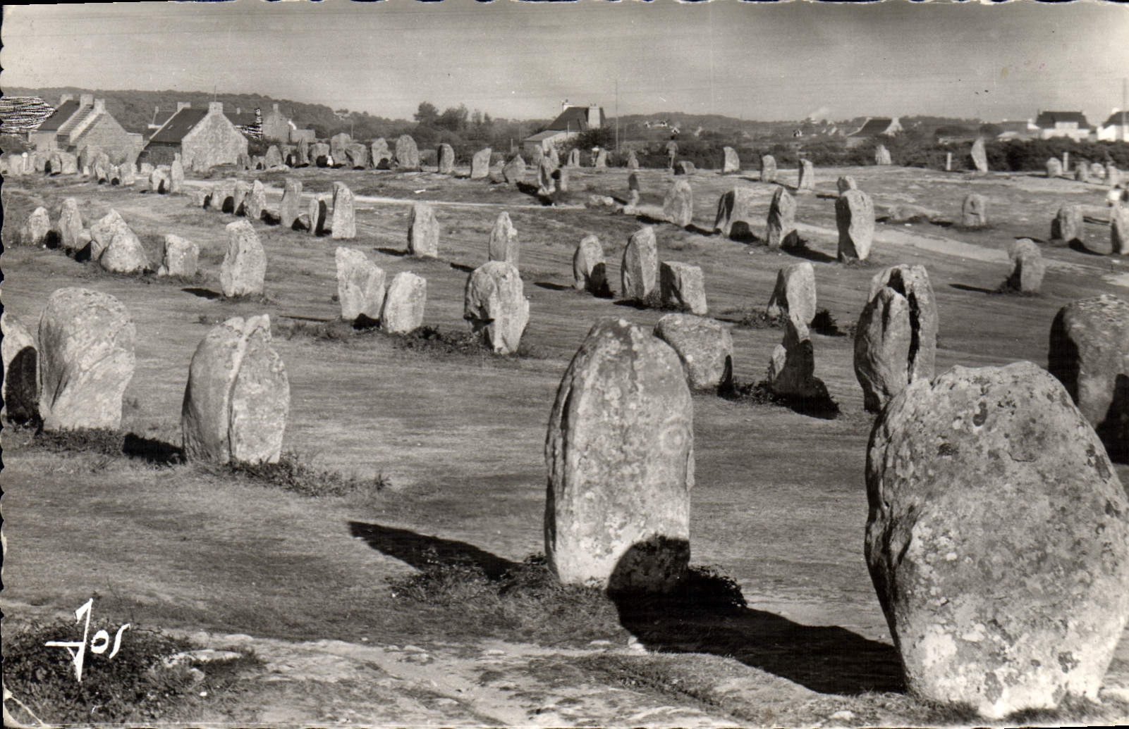 CPA Carnac Les Alignements Du Menec