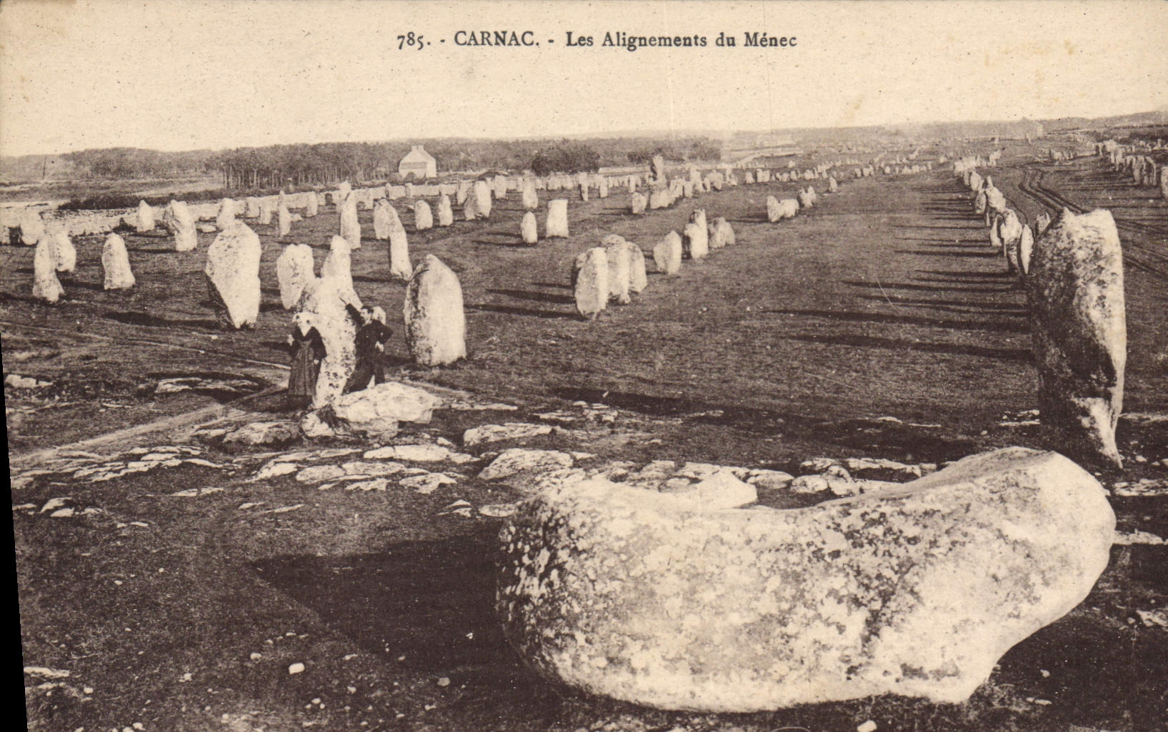 CPA Carnac Les Alignements Du Menec