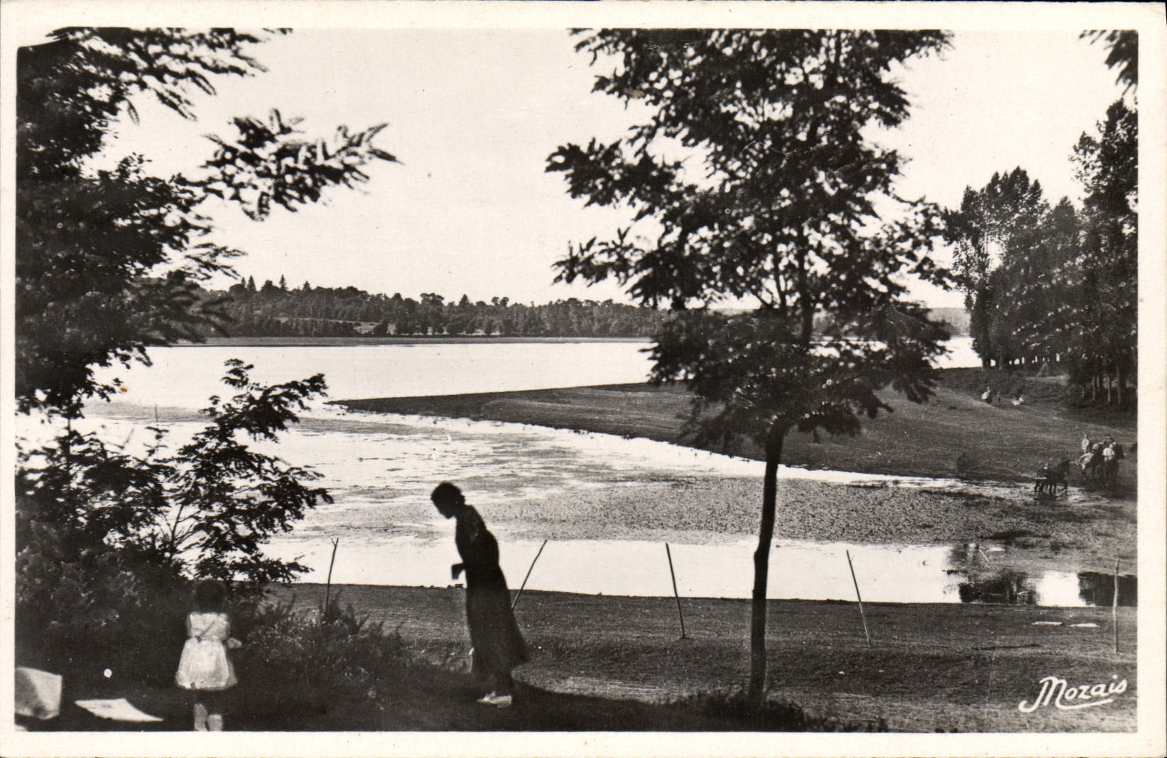 CPA Ploermel L'Etang Au Duc Belle Vision De La Bretagne